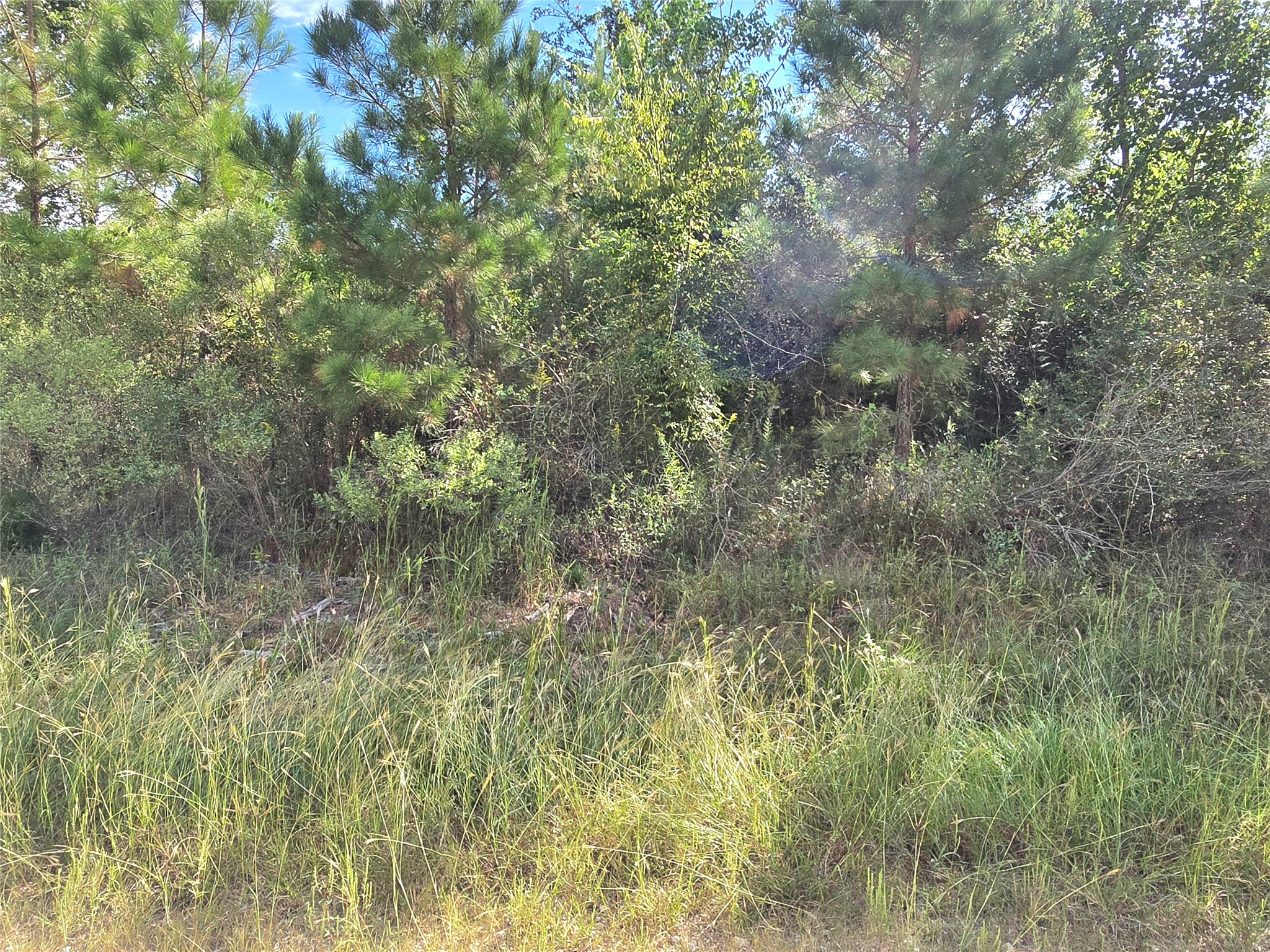 Tbd Rice Road E Property Photo 4