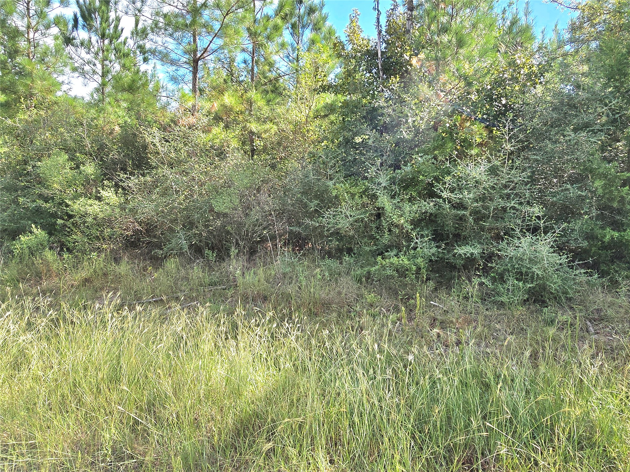 Tbd Rice Road E Property Photo 5