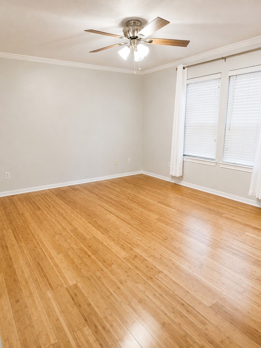 1208 Andrews Street Property Photo 4