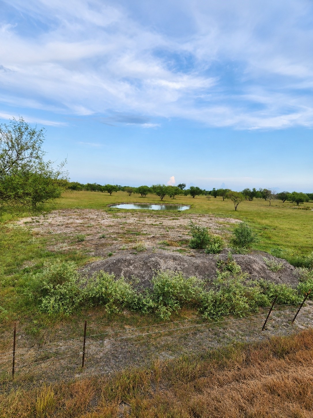 13520 Moody Road Property Photo 1