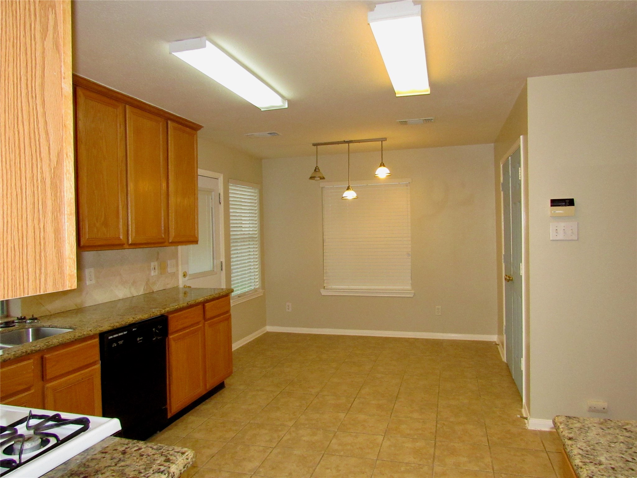 11126 Cactus Point Court Property Photo 8