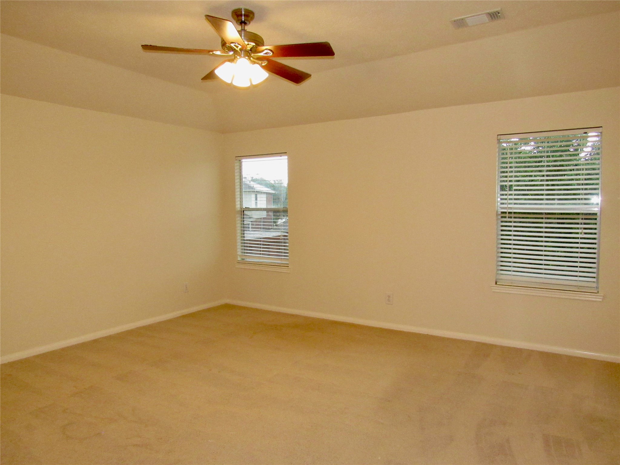 11126 Cactus Point Court Property Photo 11