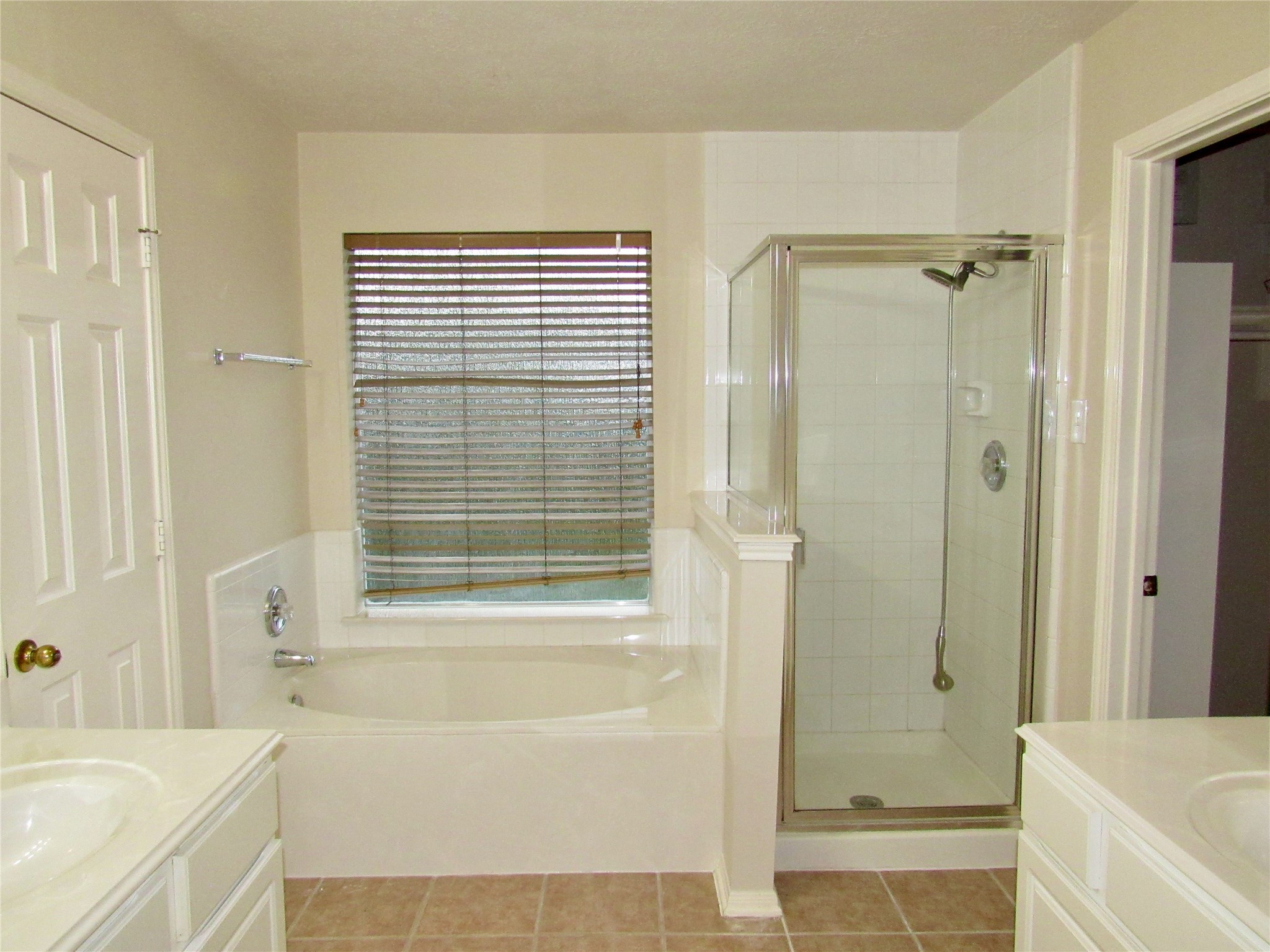 11126 Cactus Point Court Property Photo 14