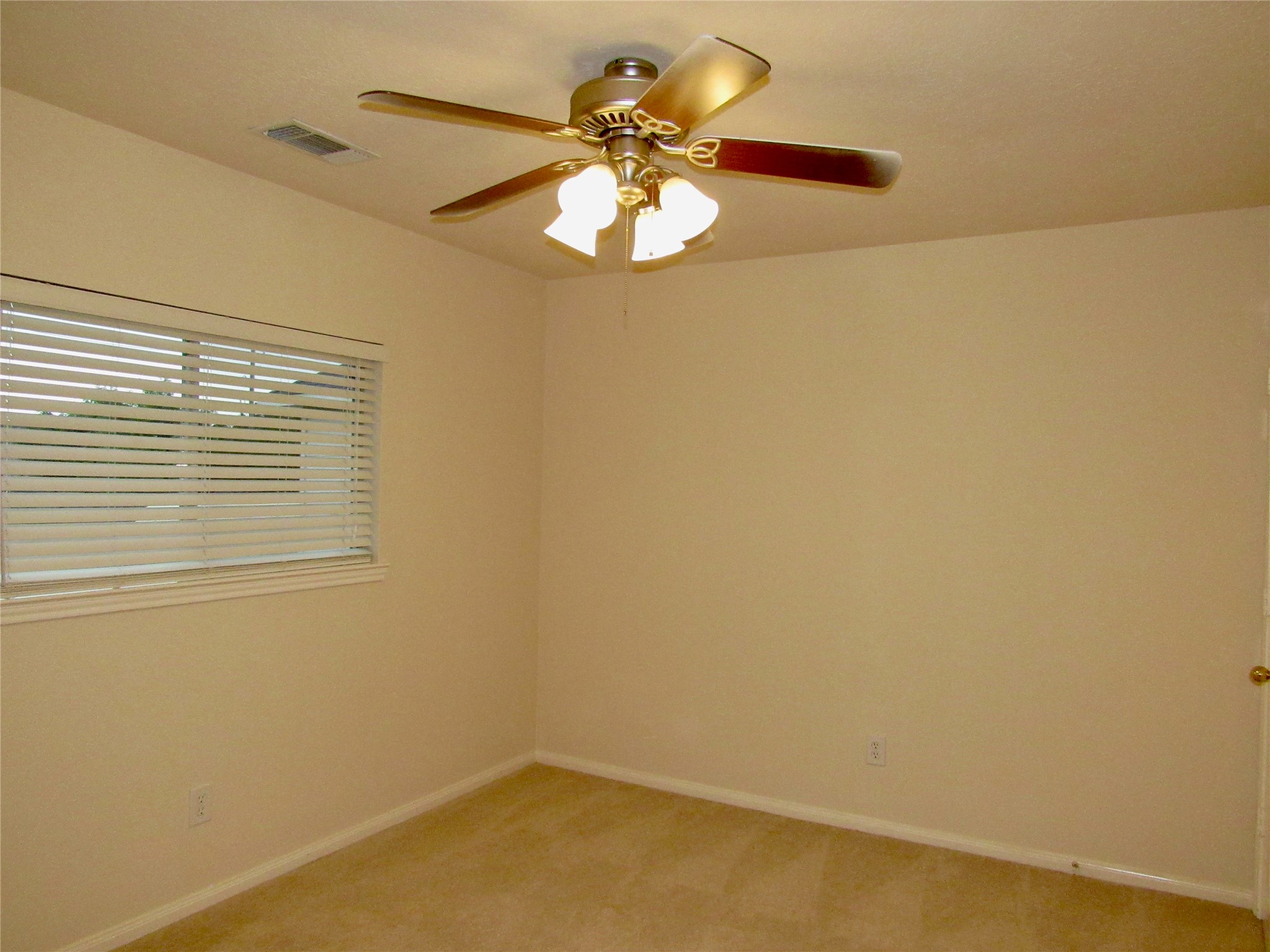 11126 Cactus Point Court Property Photo 18