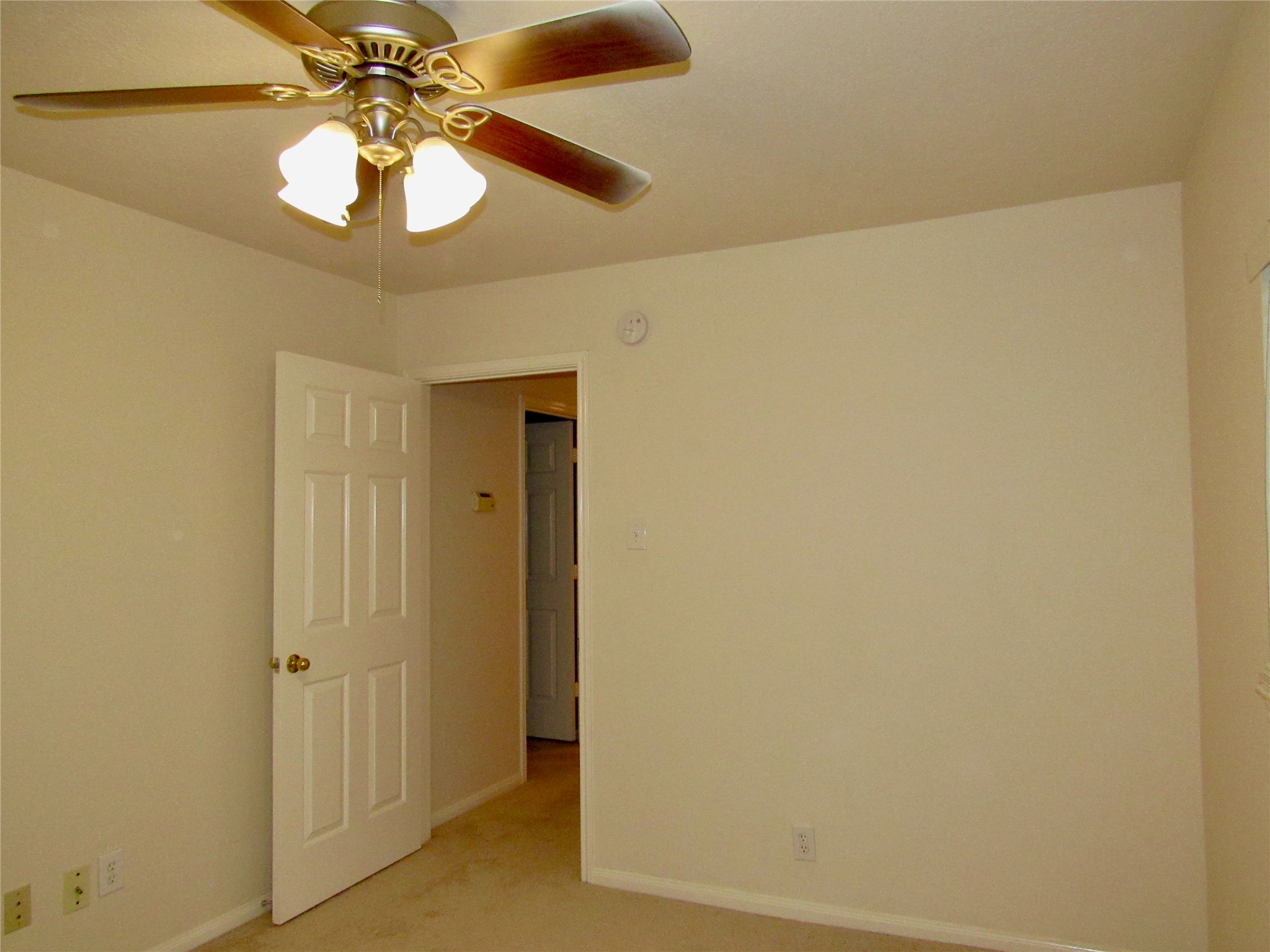 11126 Cactus Point Court Property Photo 19
