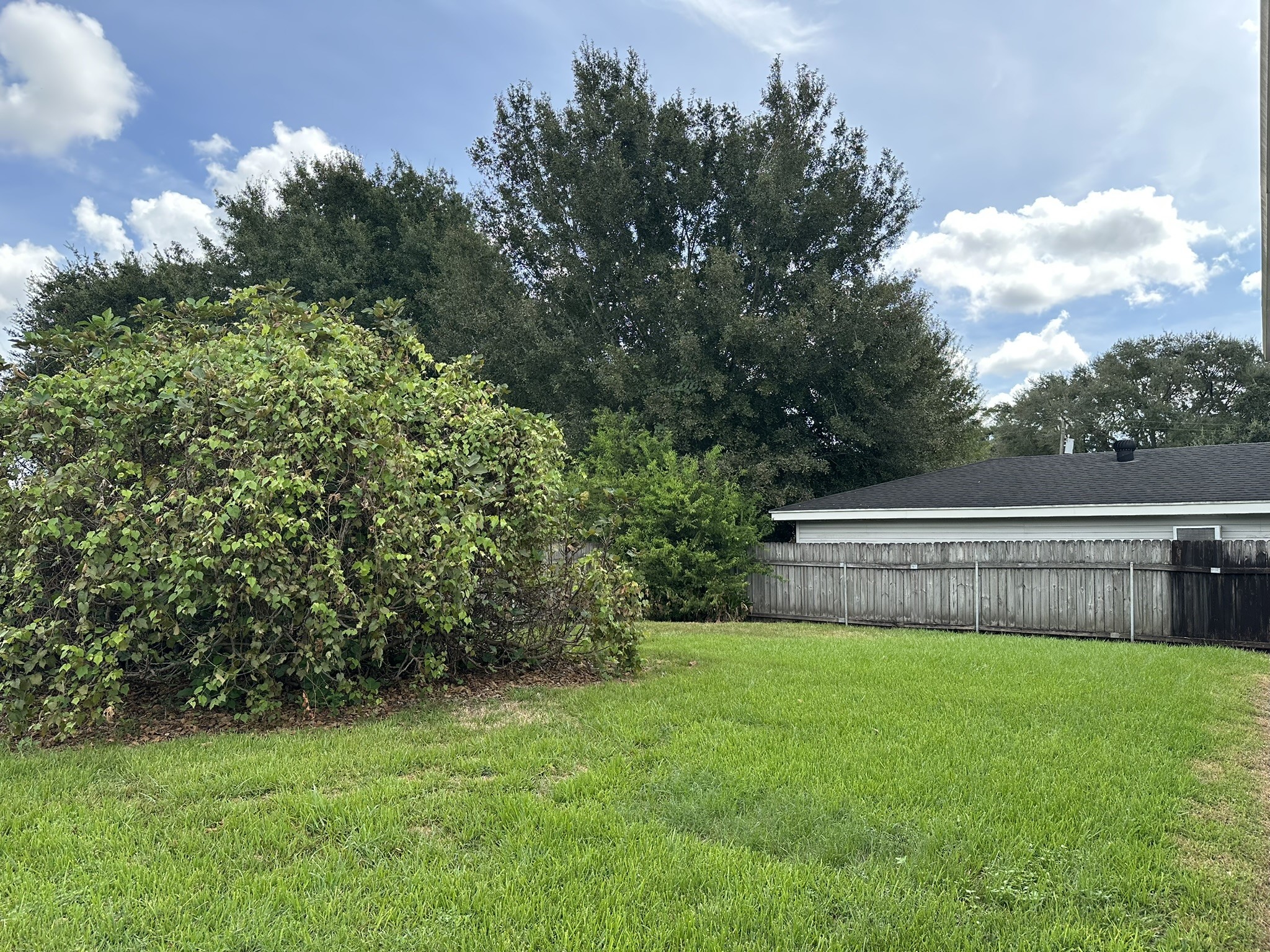 107 7th Avenue Property Photo 33