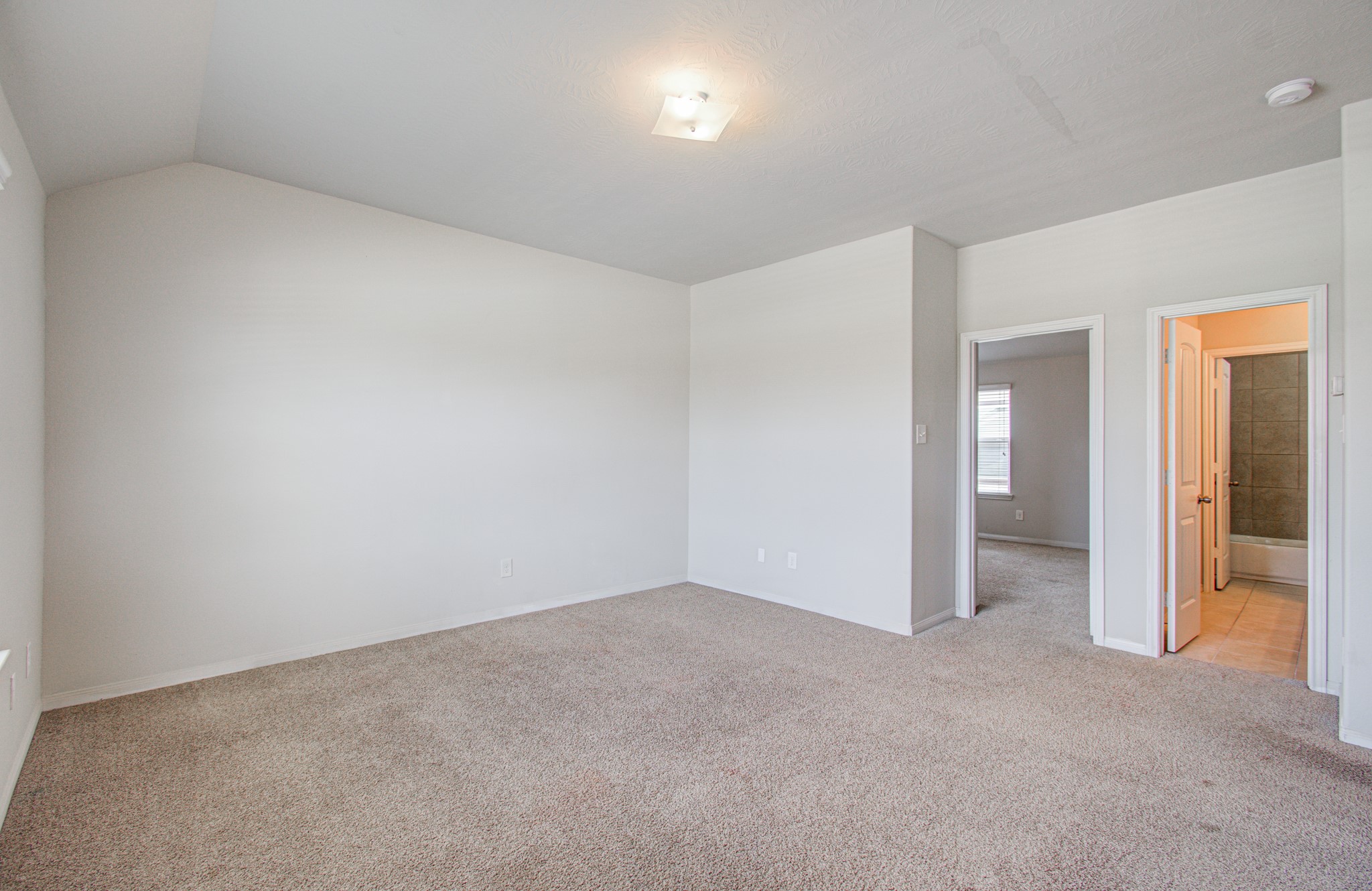 24942 Alberti Sonata Drive Property Photo 35