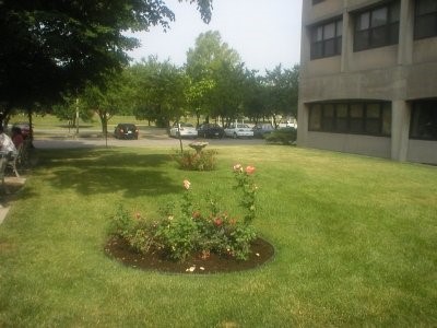 850 W Muhammad Ali Boulevard Property Photo 3