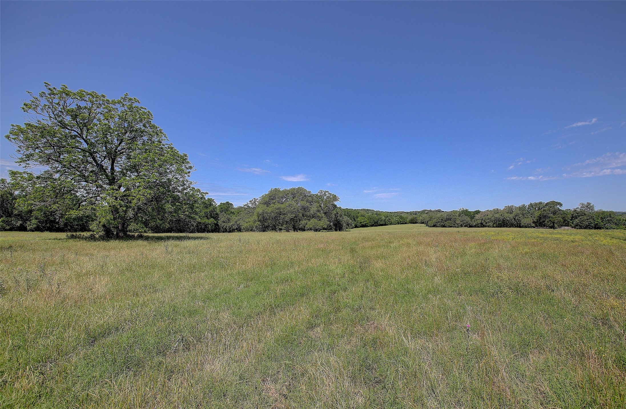 4739 Creamer Creek Rd Property Photo 11