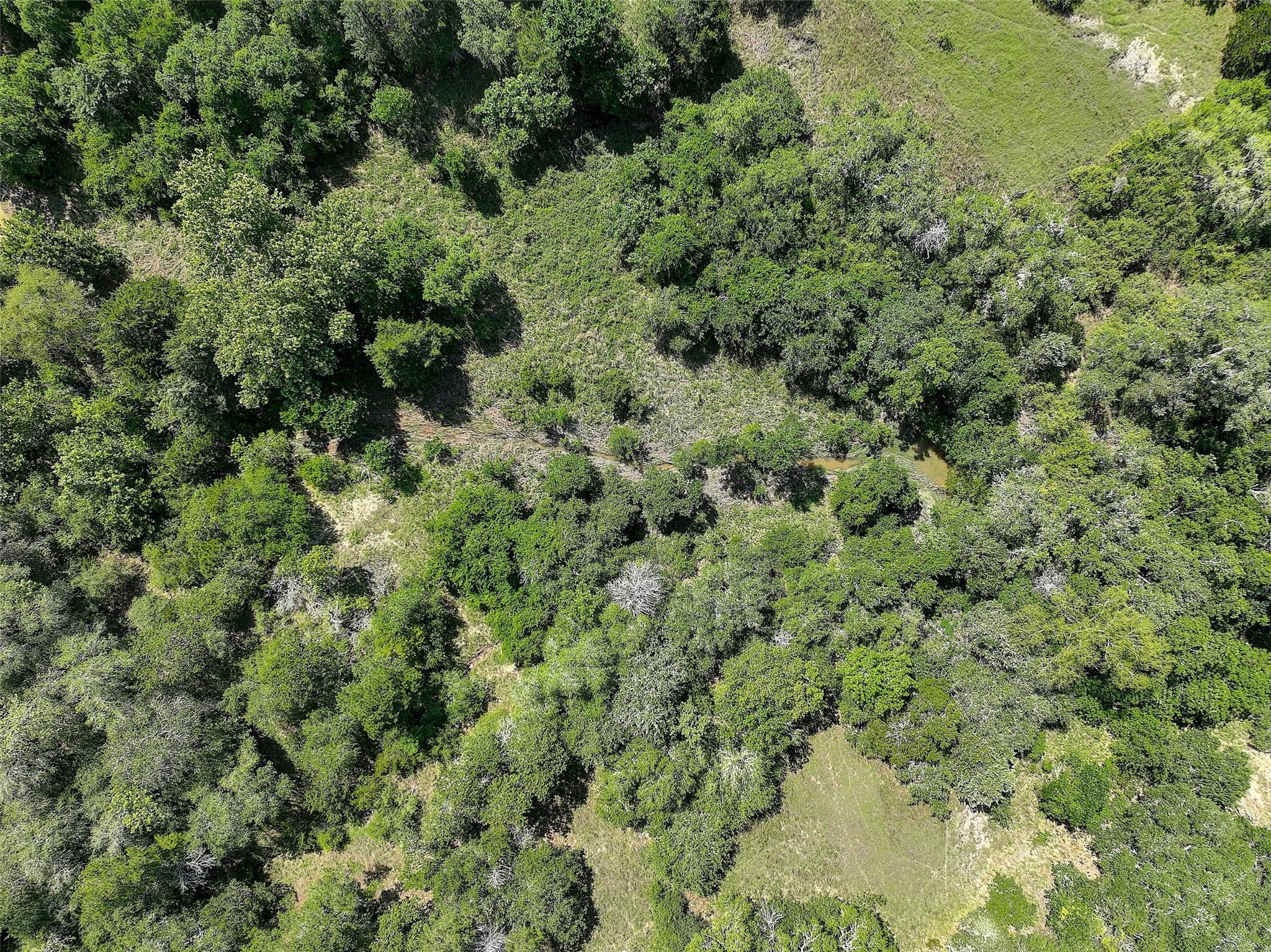 4739 Creamer Creek Rd Property Photo 12