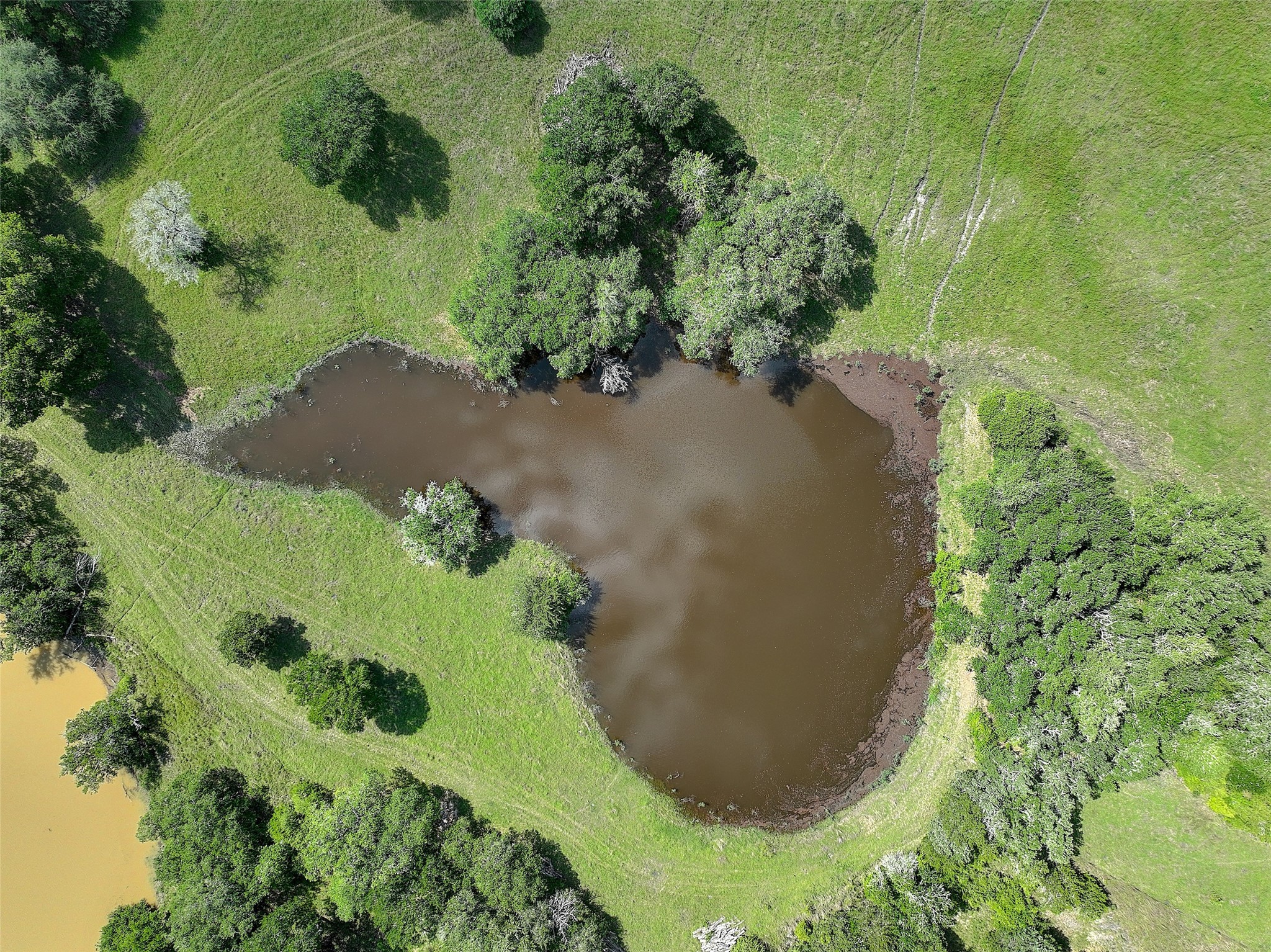 4739 Creamer Creek Rd Property Photo 21