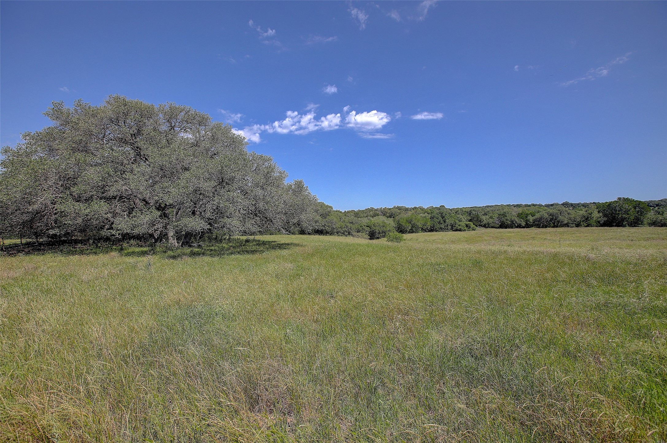 4739 Creamer Creek Rd Property Photo 25