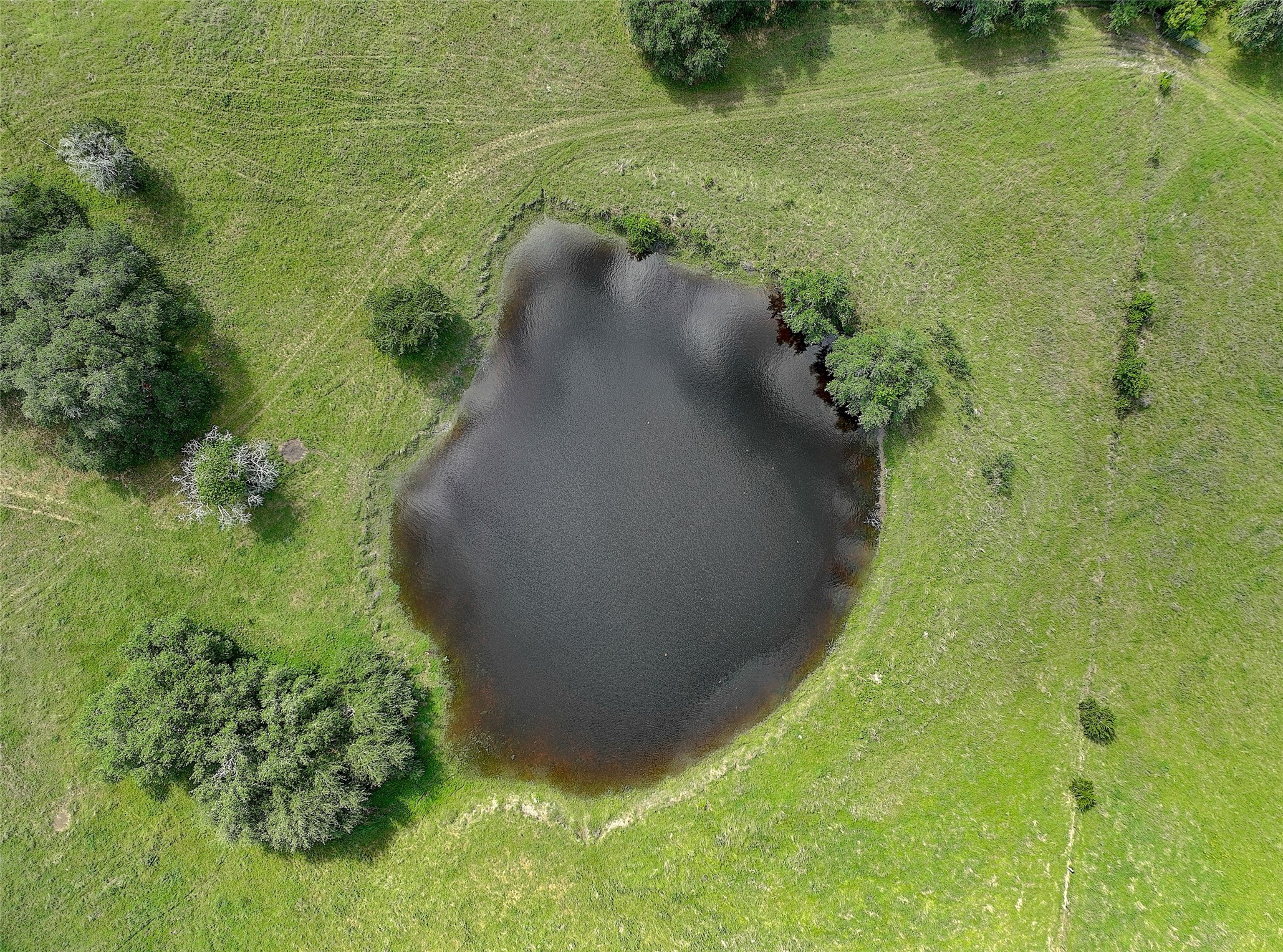 4739 Creamer Creek Rd Property Photo 28