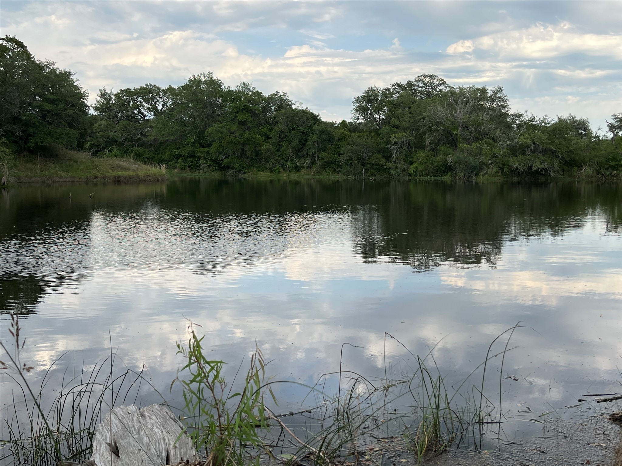 4739 Creamer Creek Rd Property Photo 32