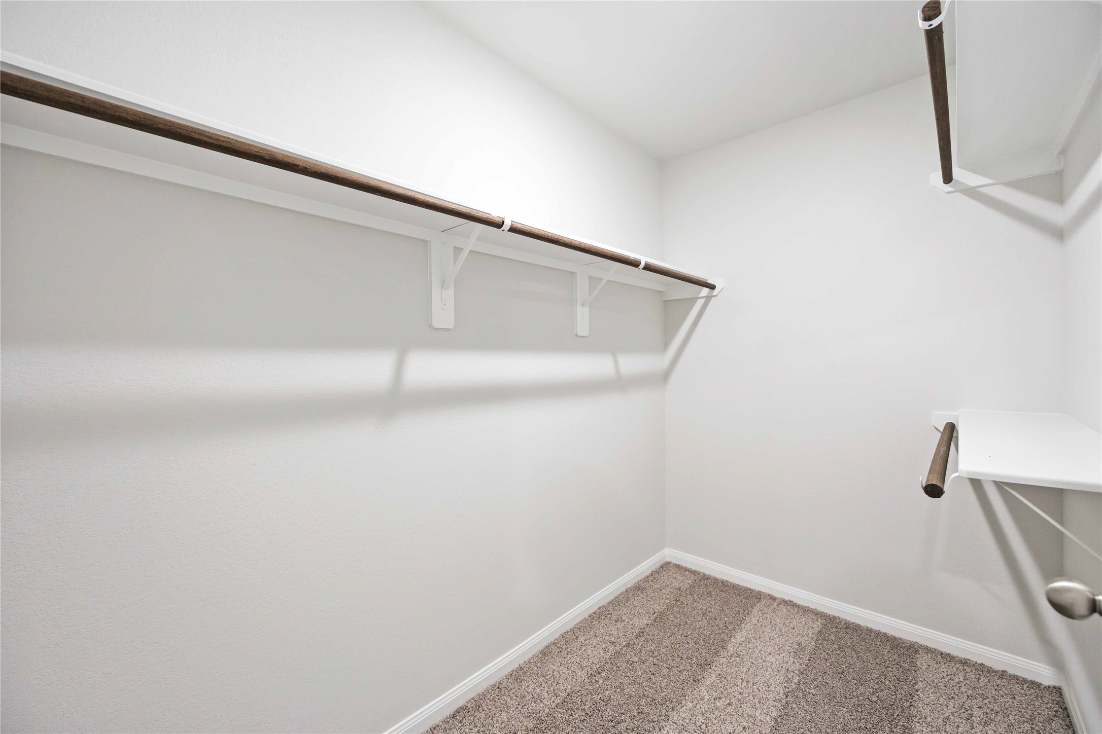 5313 Basquiat Drive Property Photo 16