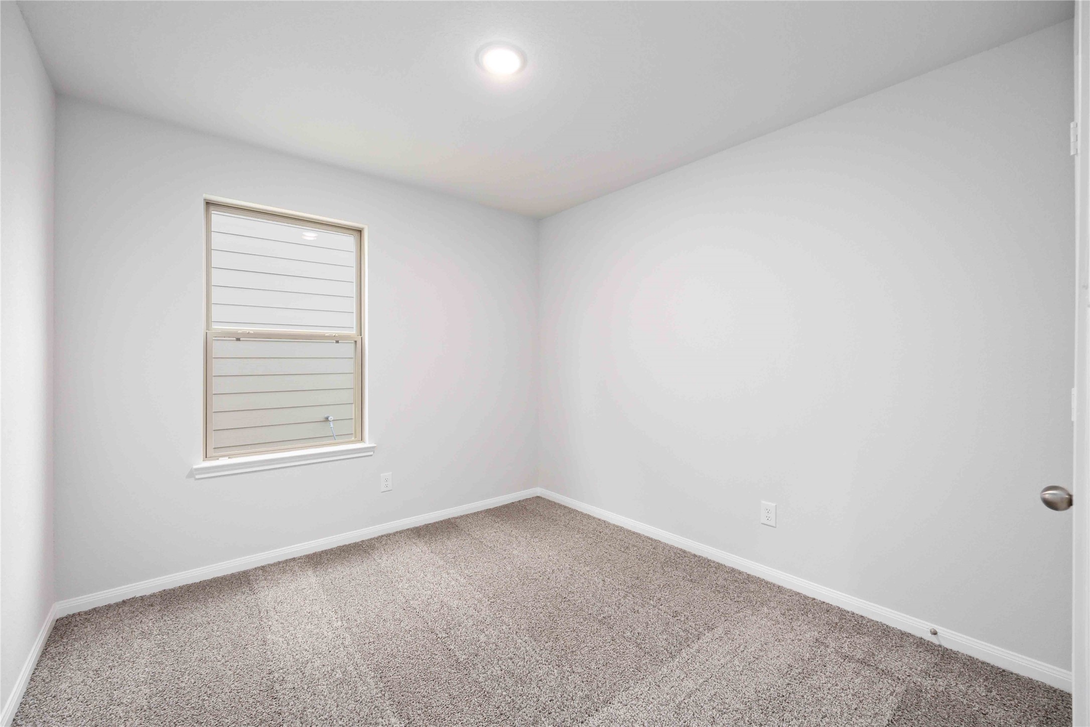 5313 Basquiat Drive Property Photo 22