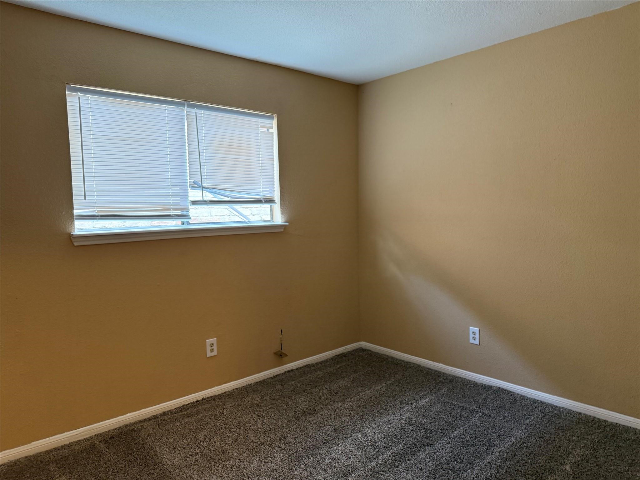 12712 Sunset Dune Drive Property Photo 9