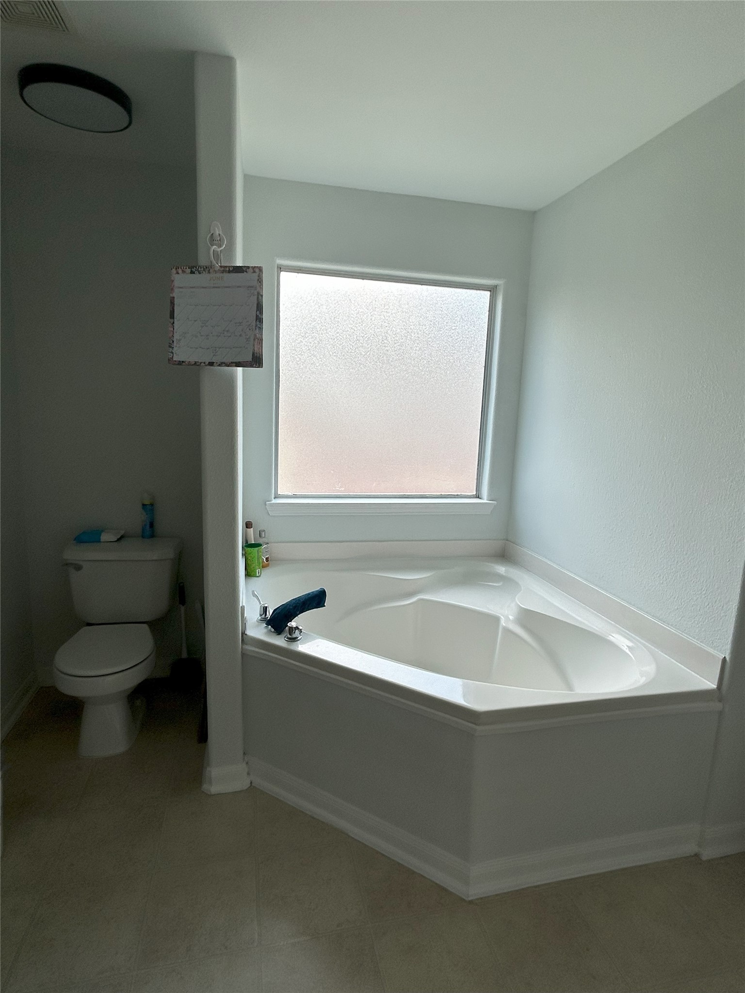 28719 Leon River Court Property Photo 10