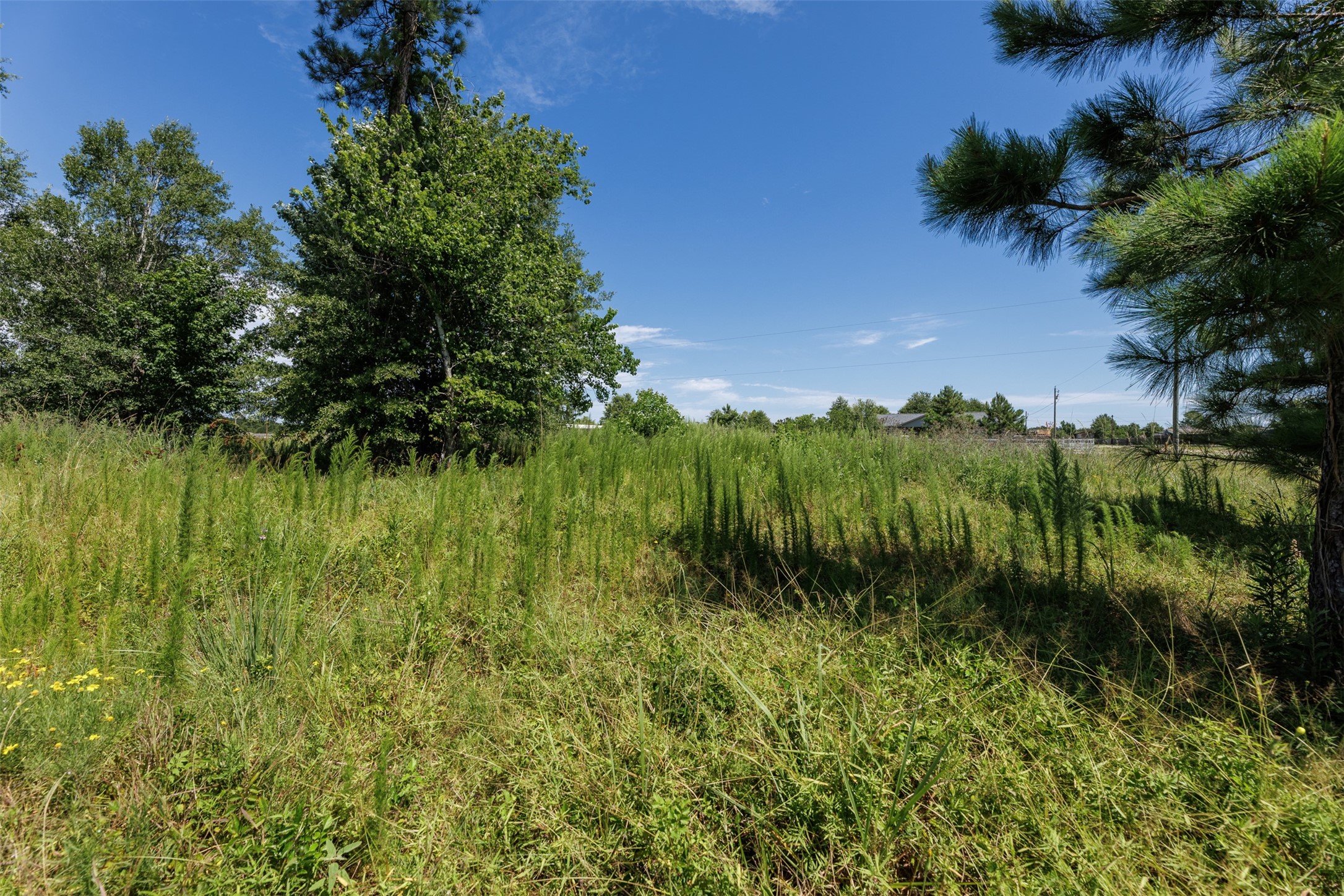 Of Road 3542 Property Photo 8