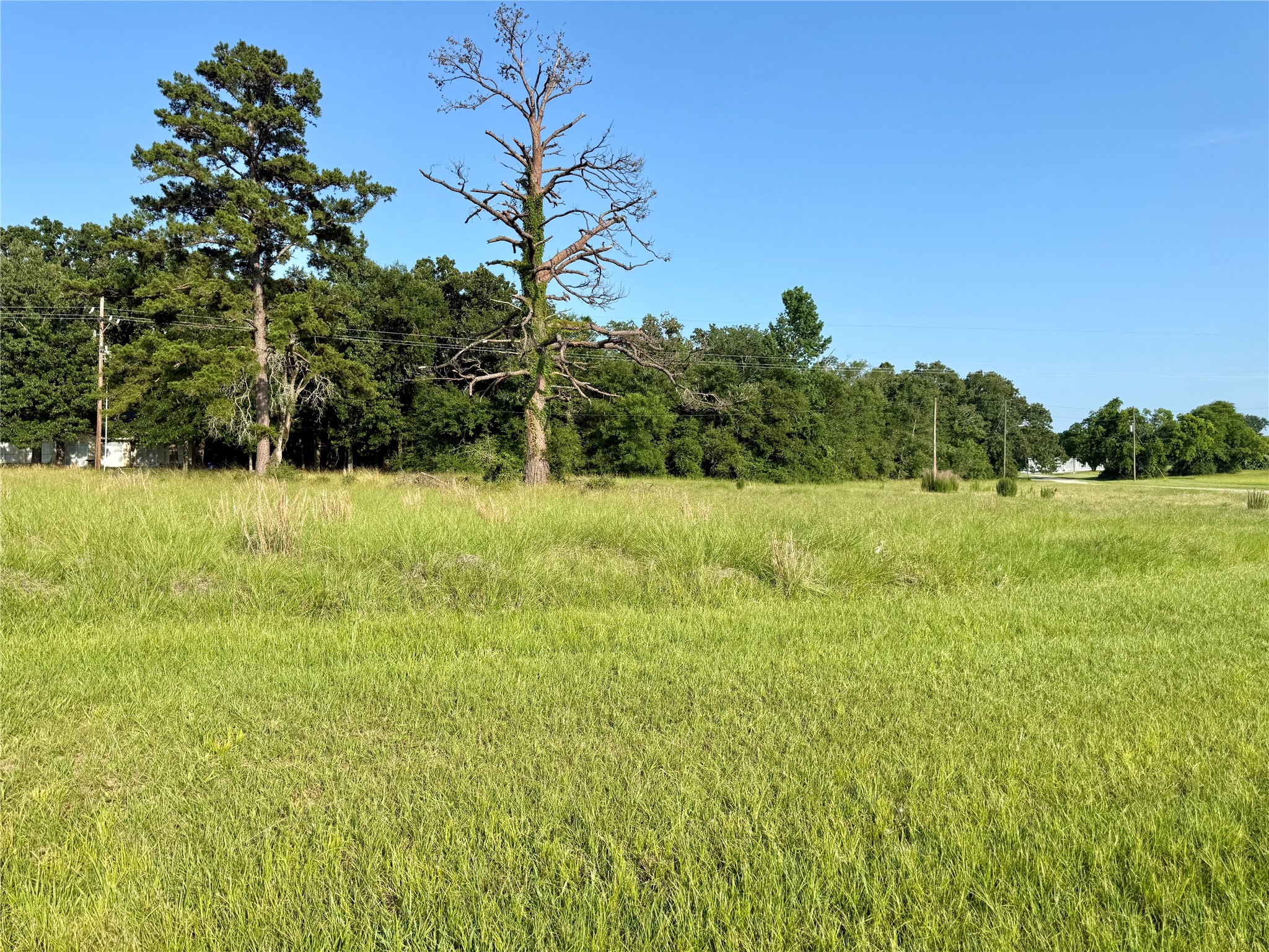Tbd Hot Springs Drive Property Photo 1