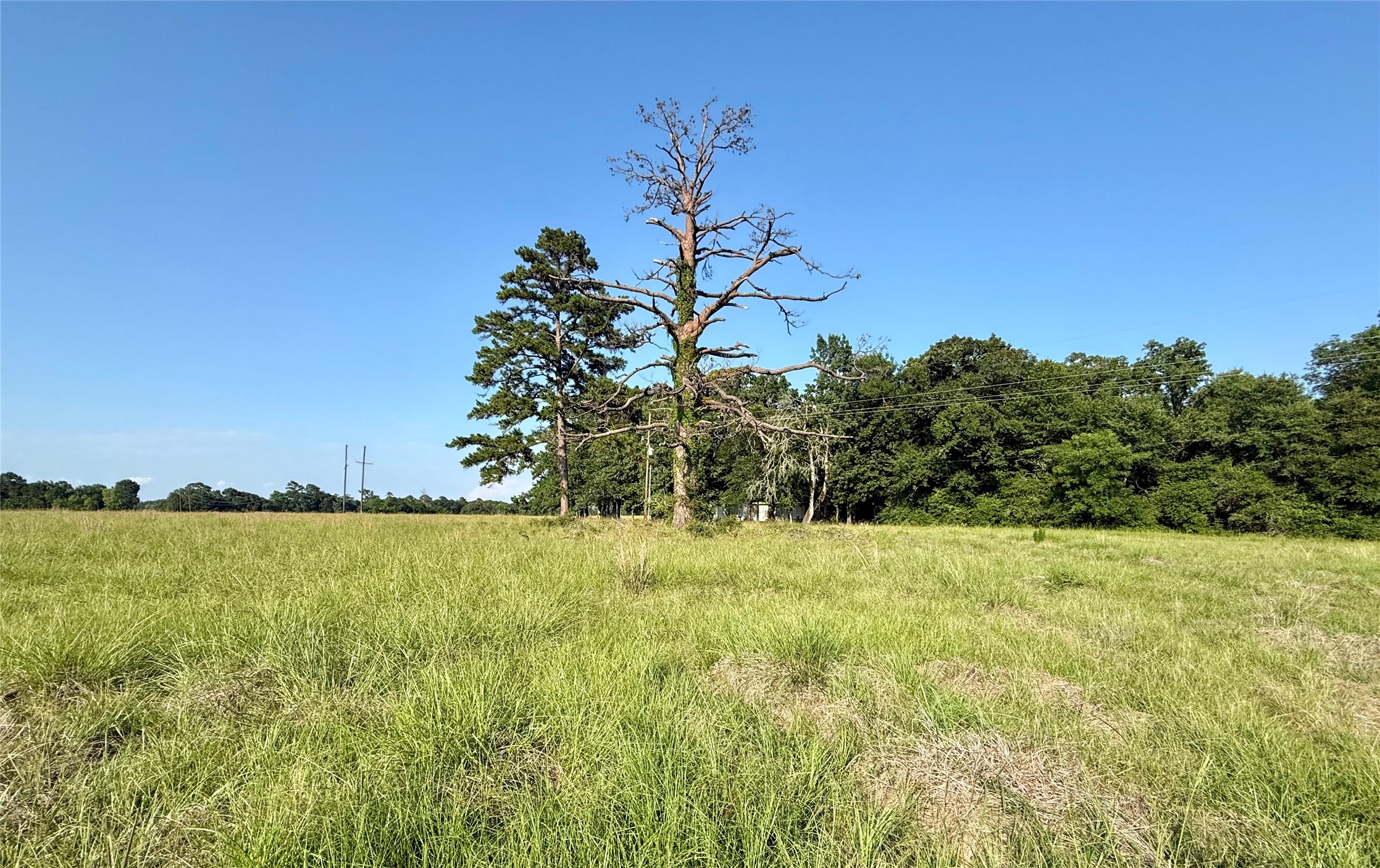 Tbd Hot Springs Drive Property Photo 2