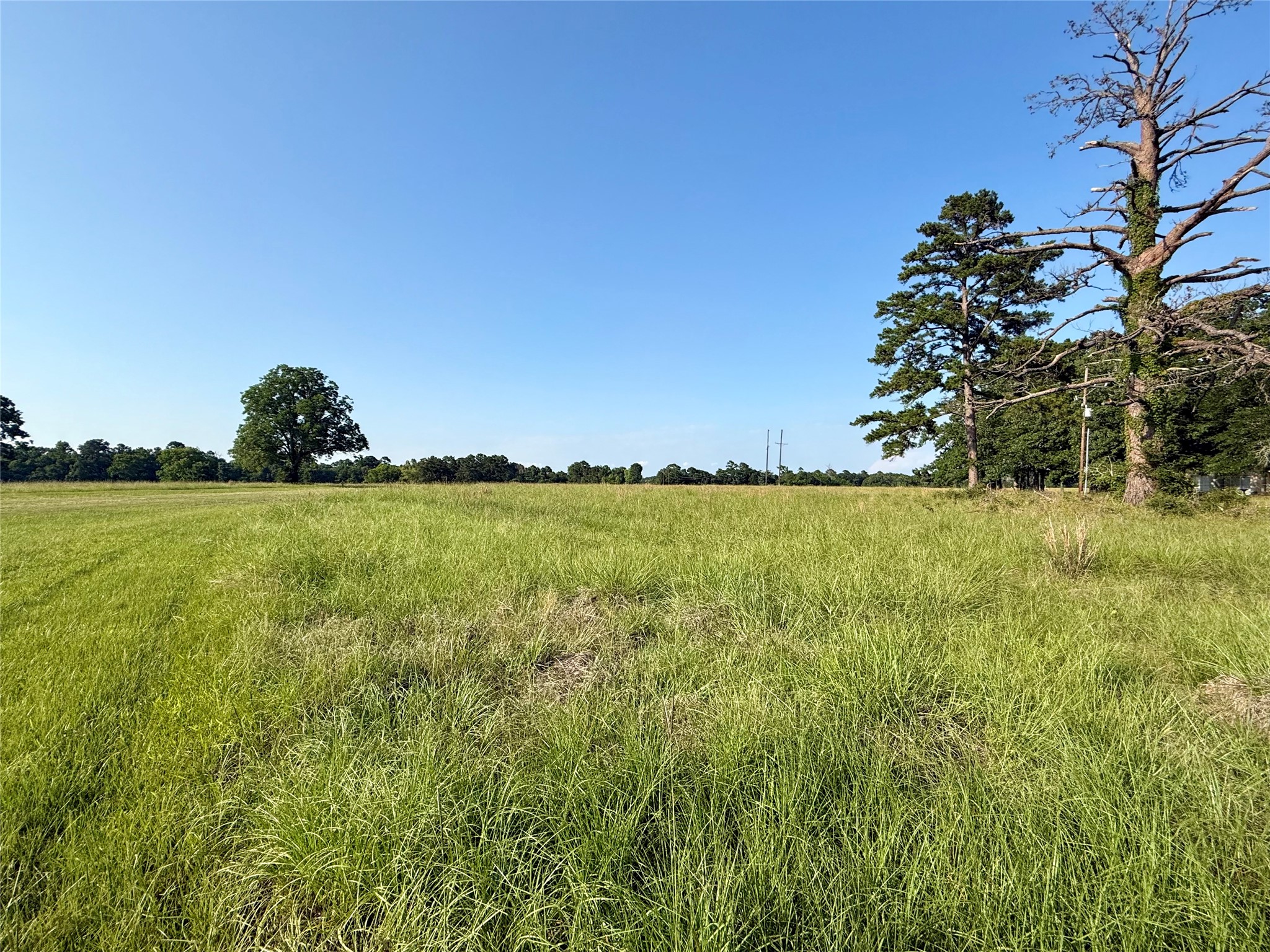 Tbd Hot Springs Drive Property Photo 4
