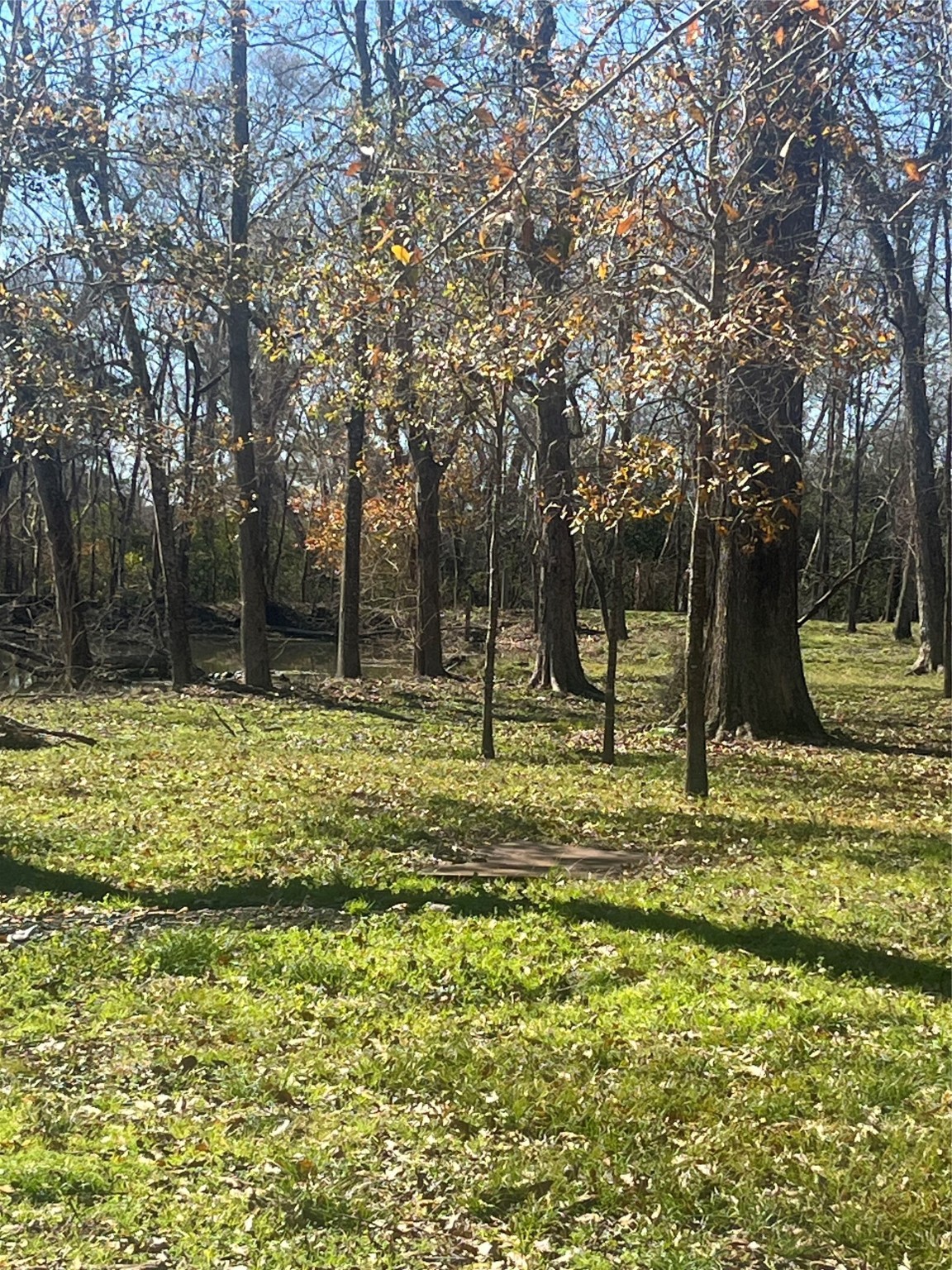 0 Mcgregor Property Photo 3