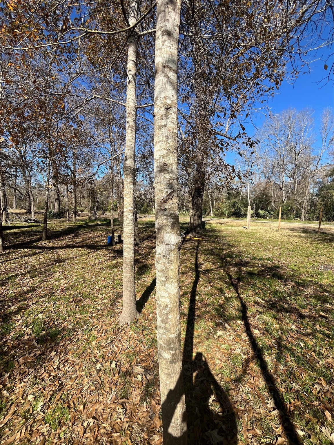 0 Mcgregor Property Photo 6