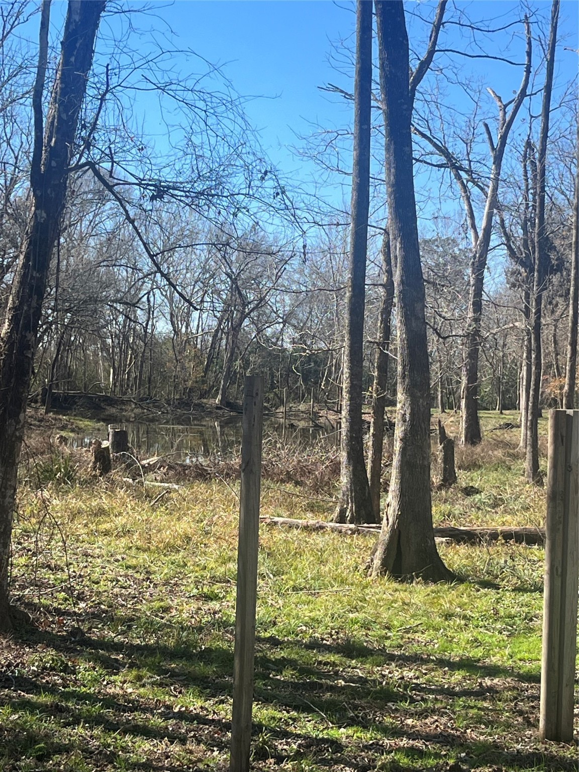 0 Mcgregor Property Photo 8