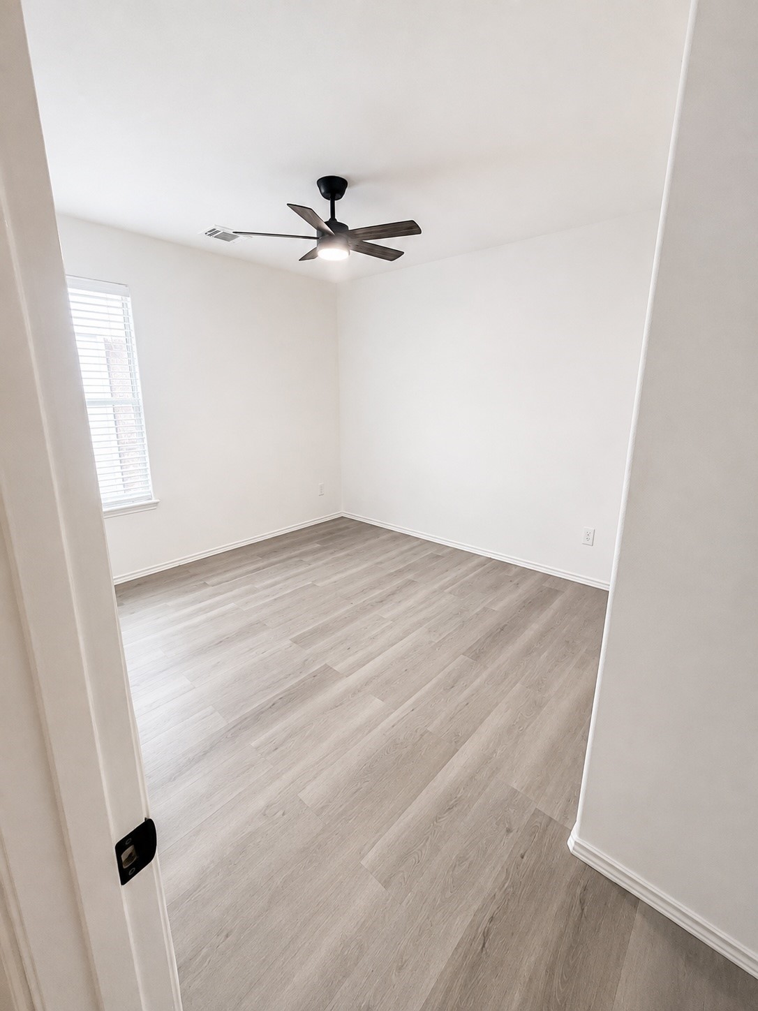 9227 Shaded Pines Drive Property Photo 16