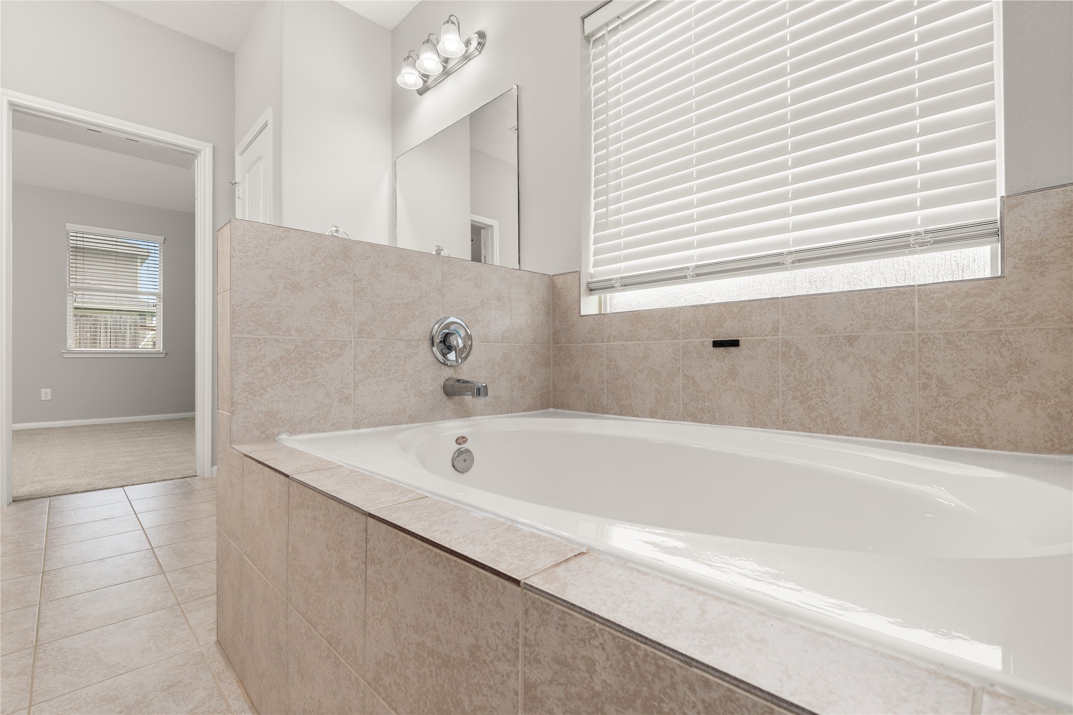 13602 Kodiak Brown Bear Street Property Photo 25