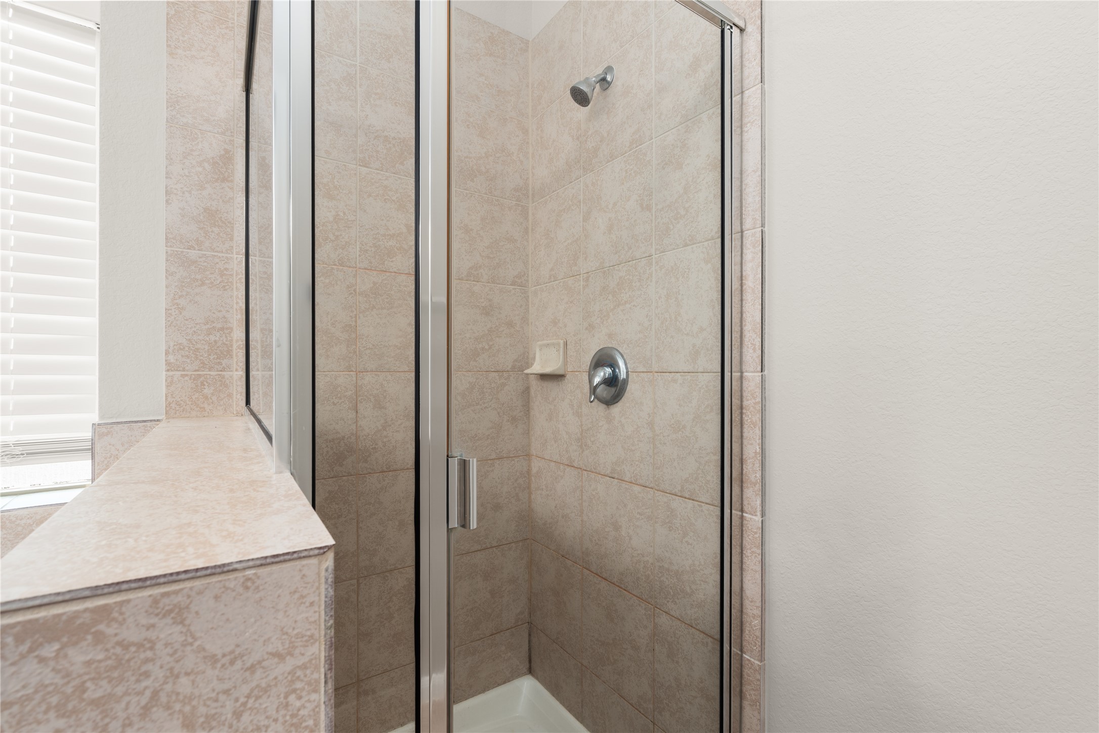 13602 Kodiak Brown Bear Street Property Photo 28