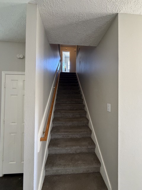 22018 Willow Shadows Property Photo 11