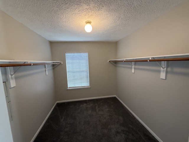 22018 Willow Shadows Property Photo 25
