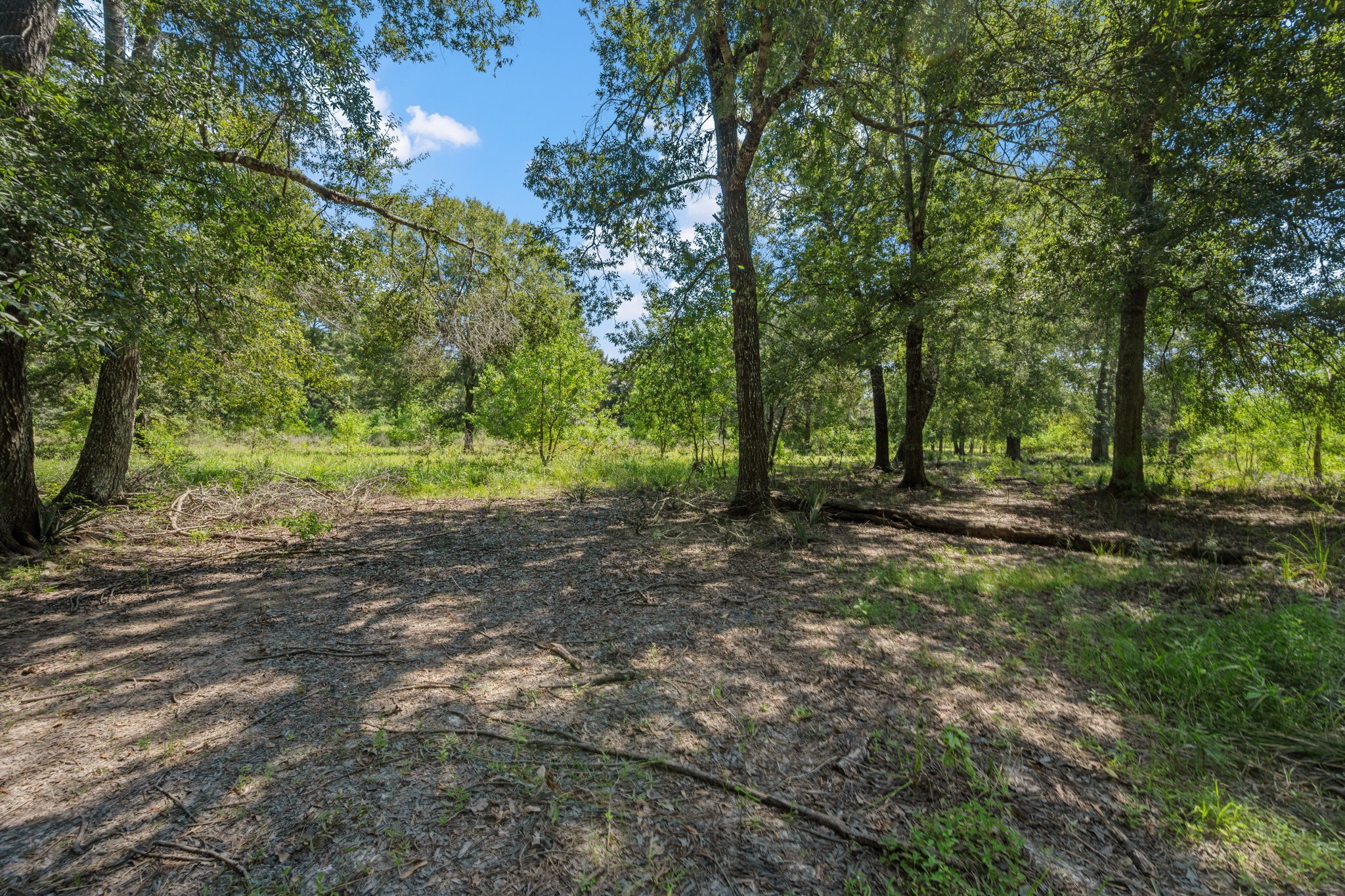 26092 Deerbrook Drive Property Photo 1