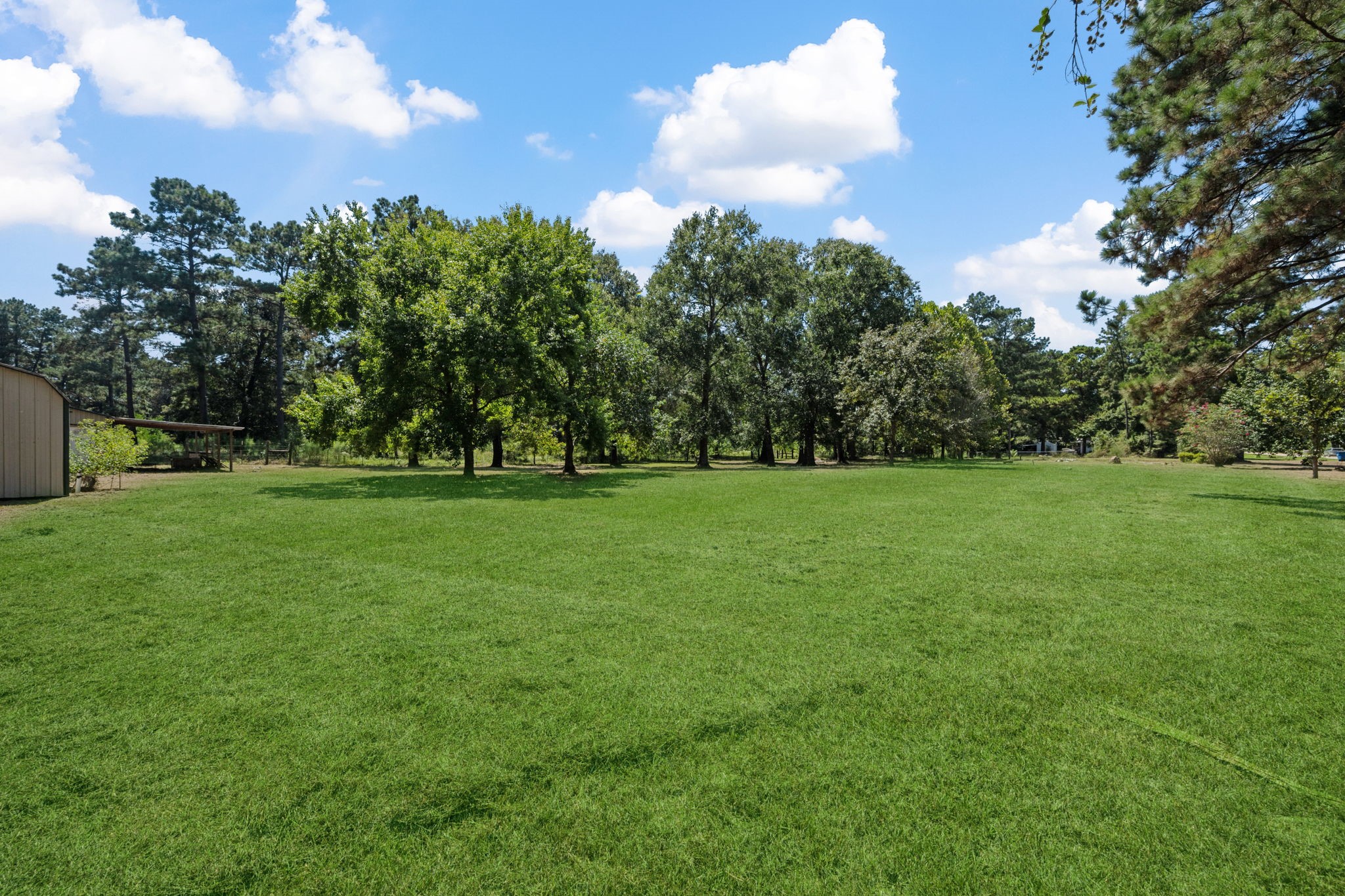 26092 Deerbrook Drive Property Photo 12