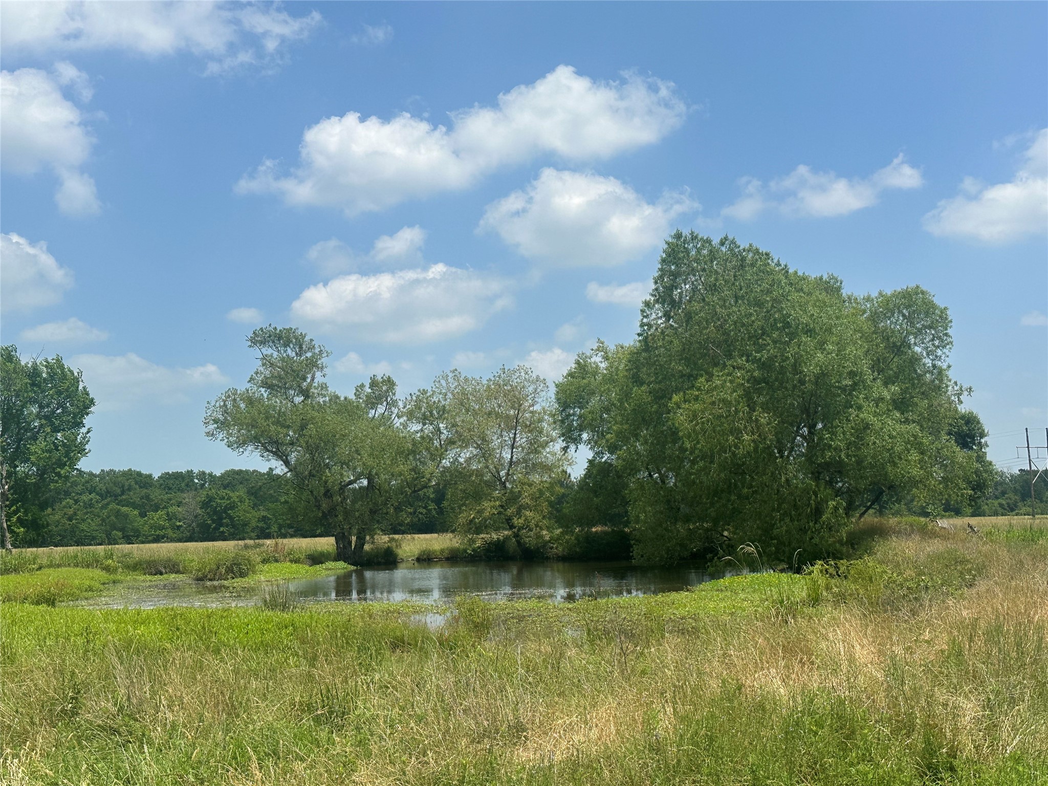 123ac Cr 234 Property Photo 3