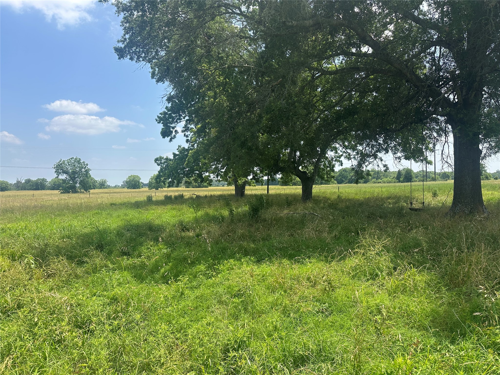 123ac Cr 234 Property Photo 5