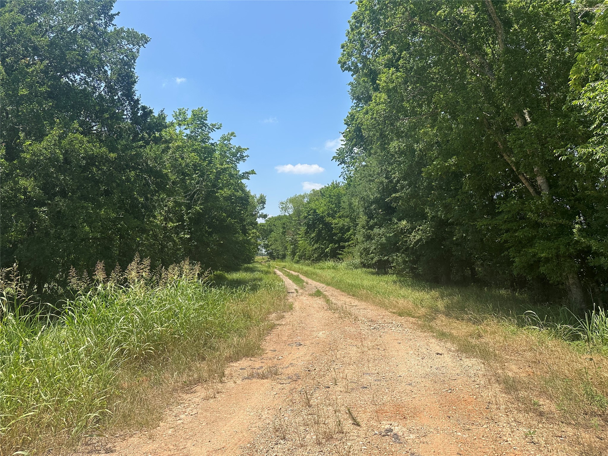 123ac Cr 234 Property Photo 6