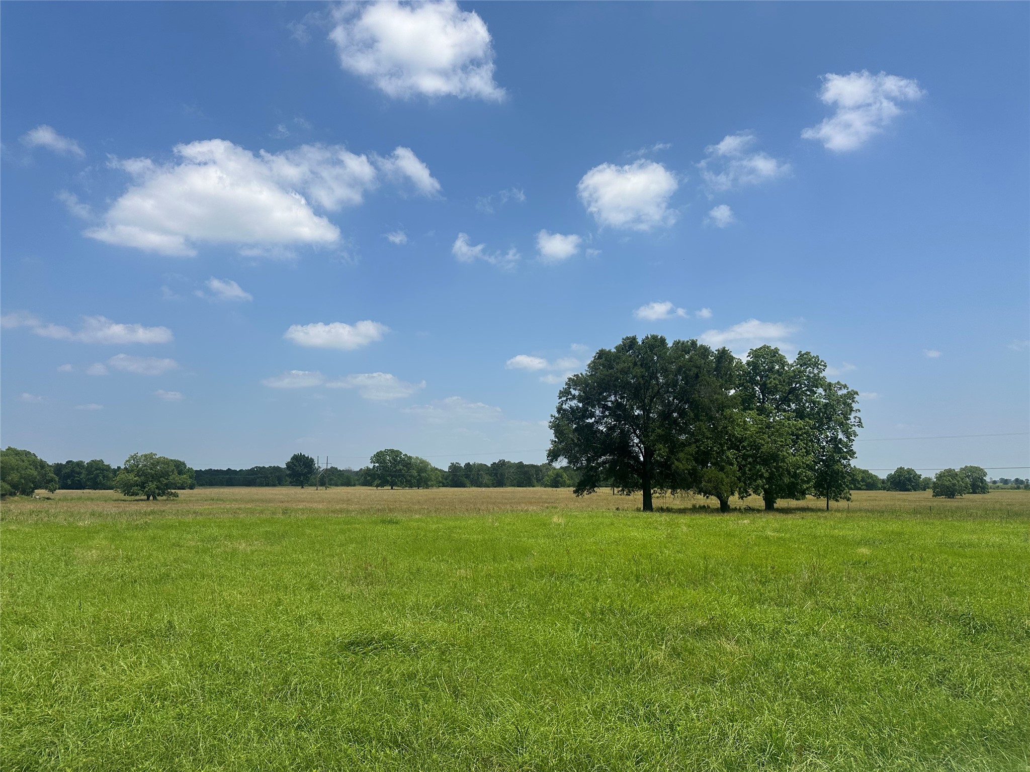 123ac Cr 234 Property Photo 7
