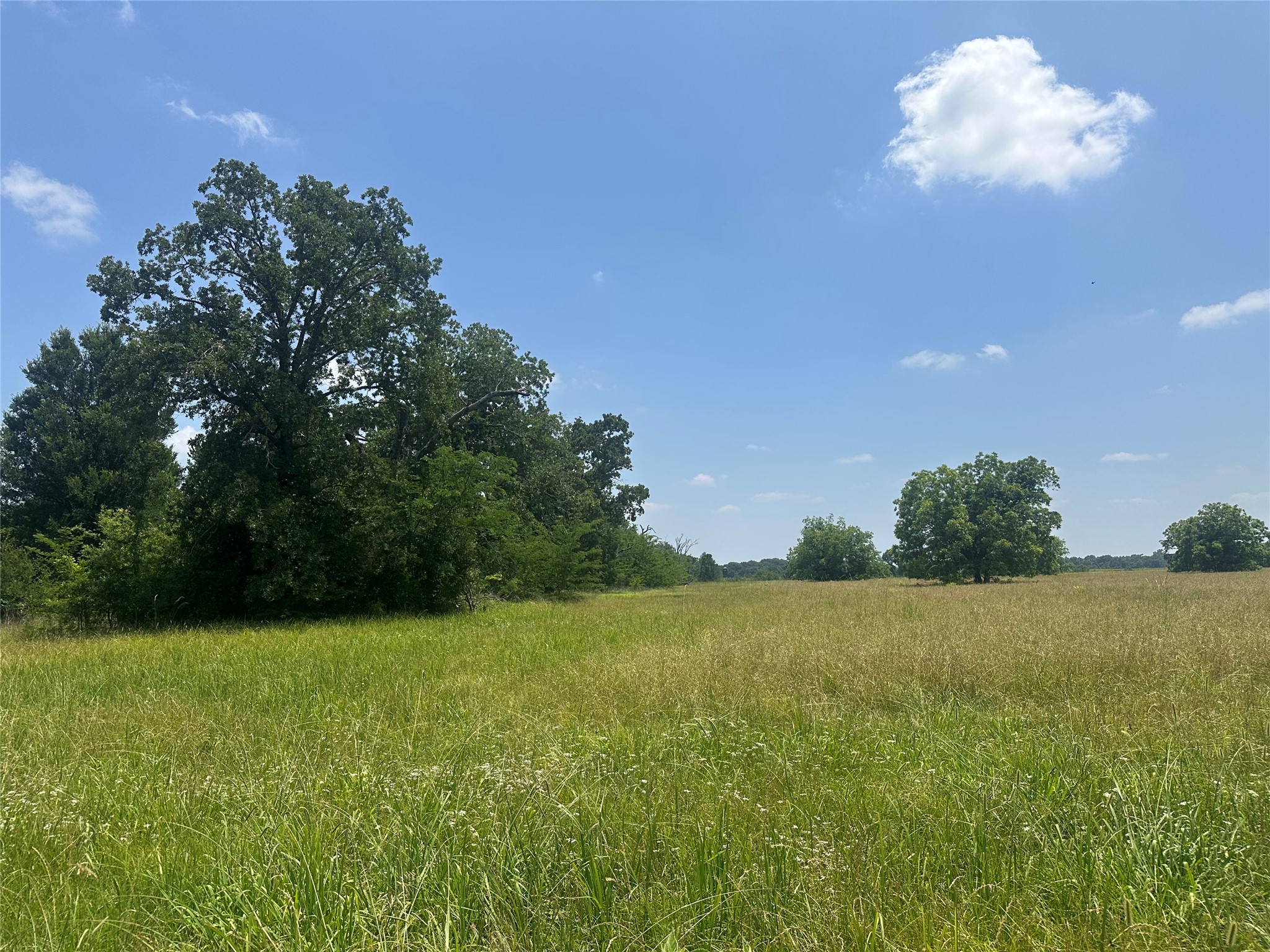 123ac Cr 234 Property Photo 10