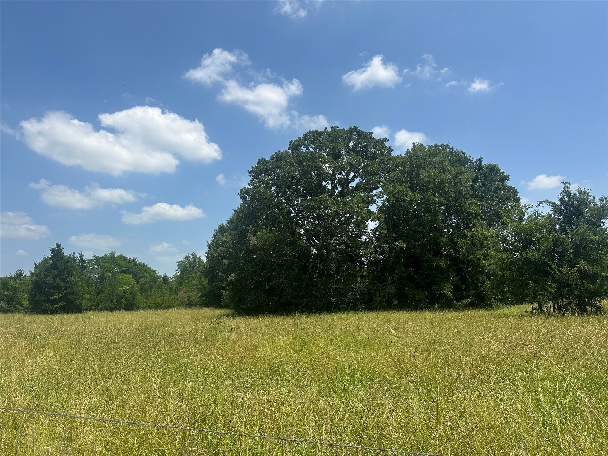 123ac Cr 234 Property Photo 11