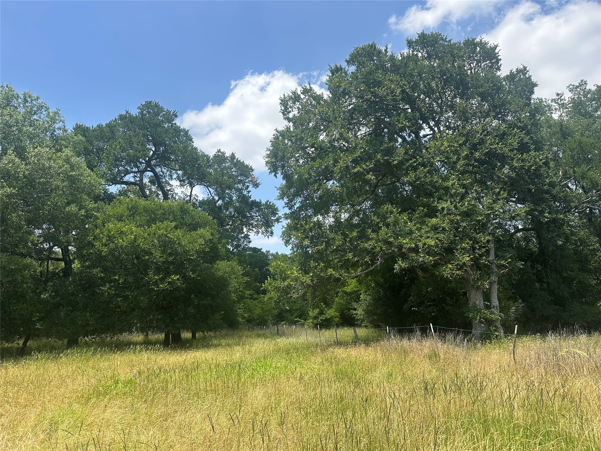 123ac Cr 234 Property Photo 12