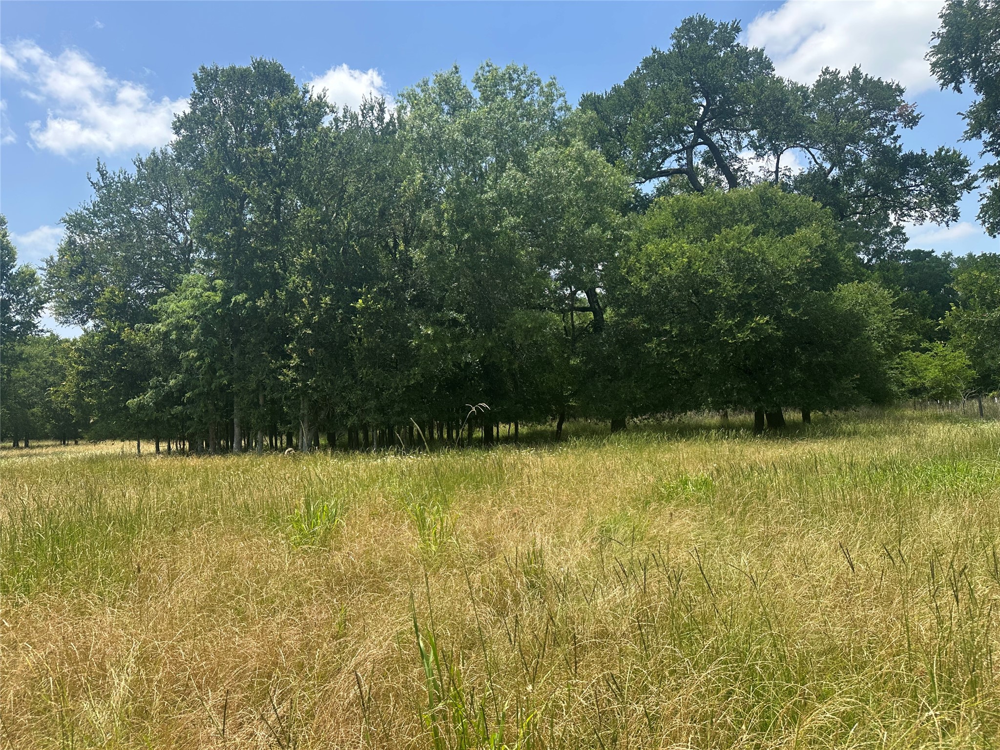 123ac Cr 234 Property Photo 13