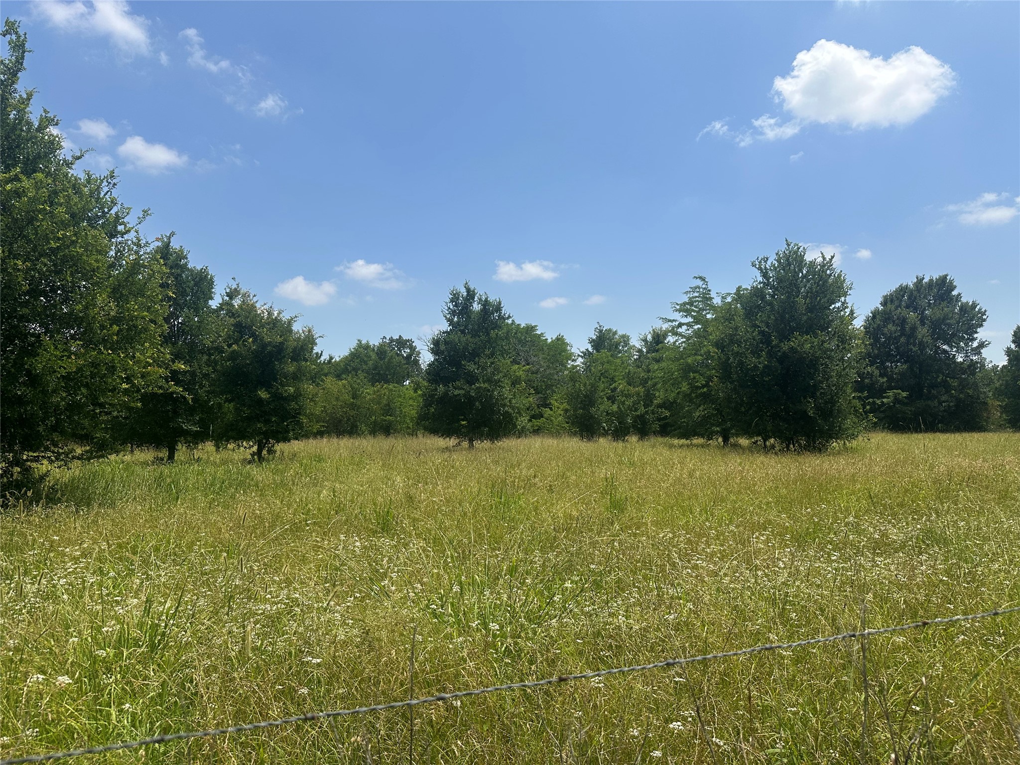 123ac Cr 234 Property Photo 14