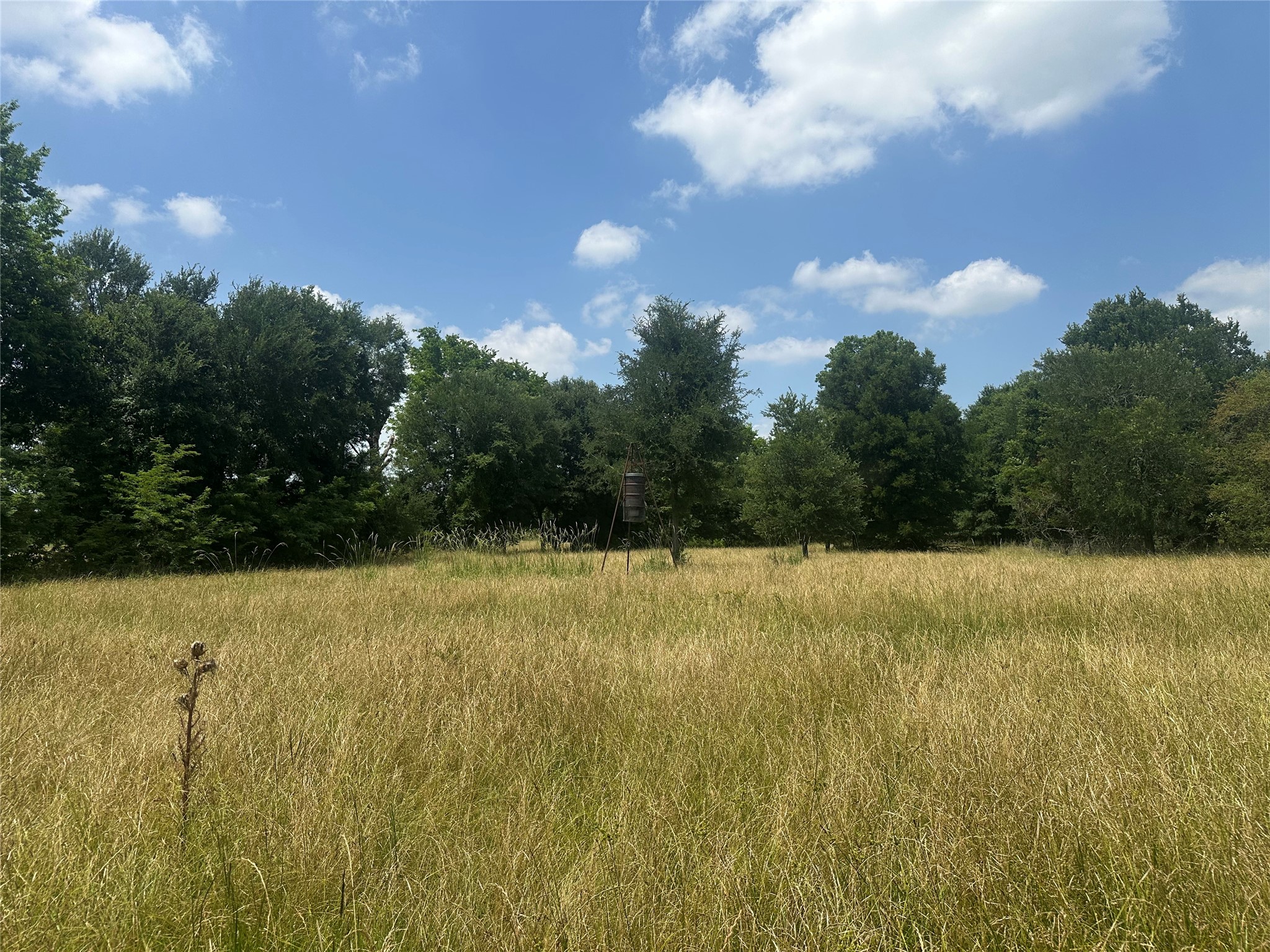 123ac Cr 234 Property Photo 16