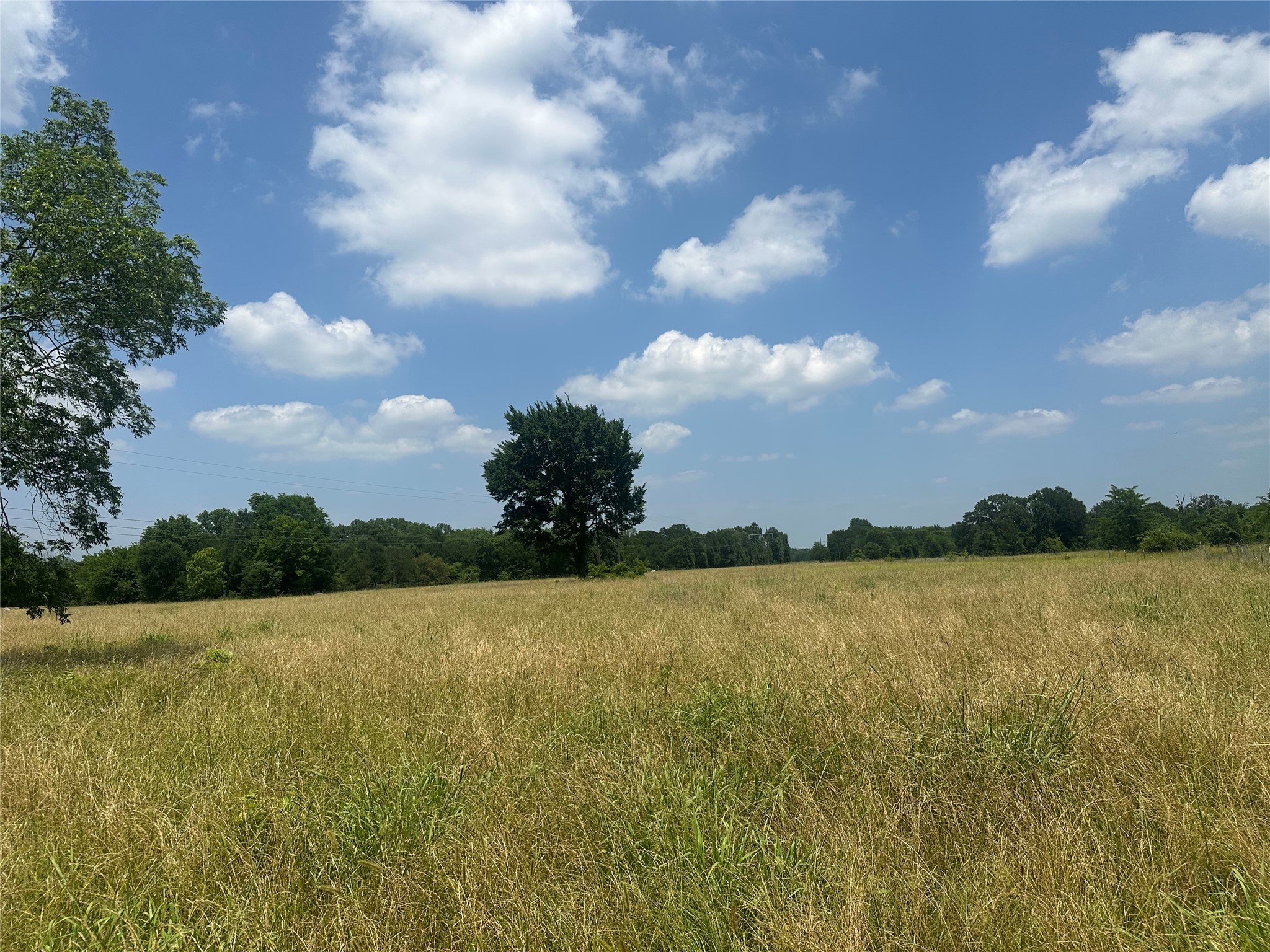 123ac Cr 234 Property Photo 17