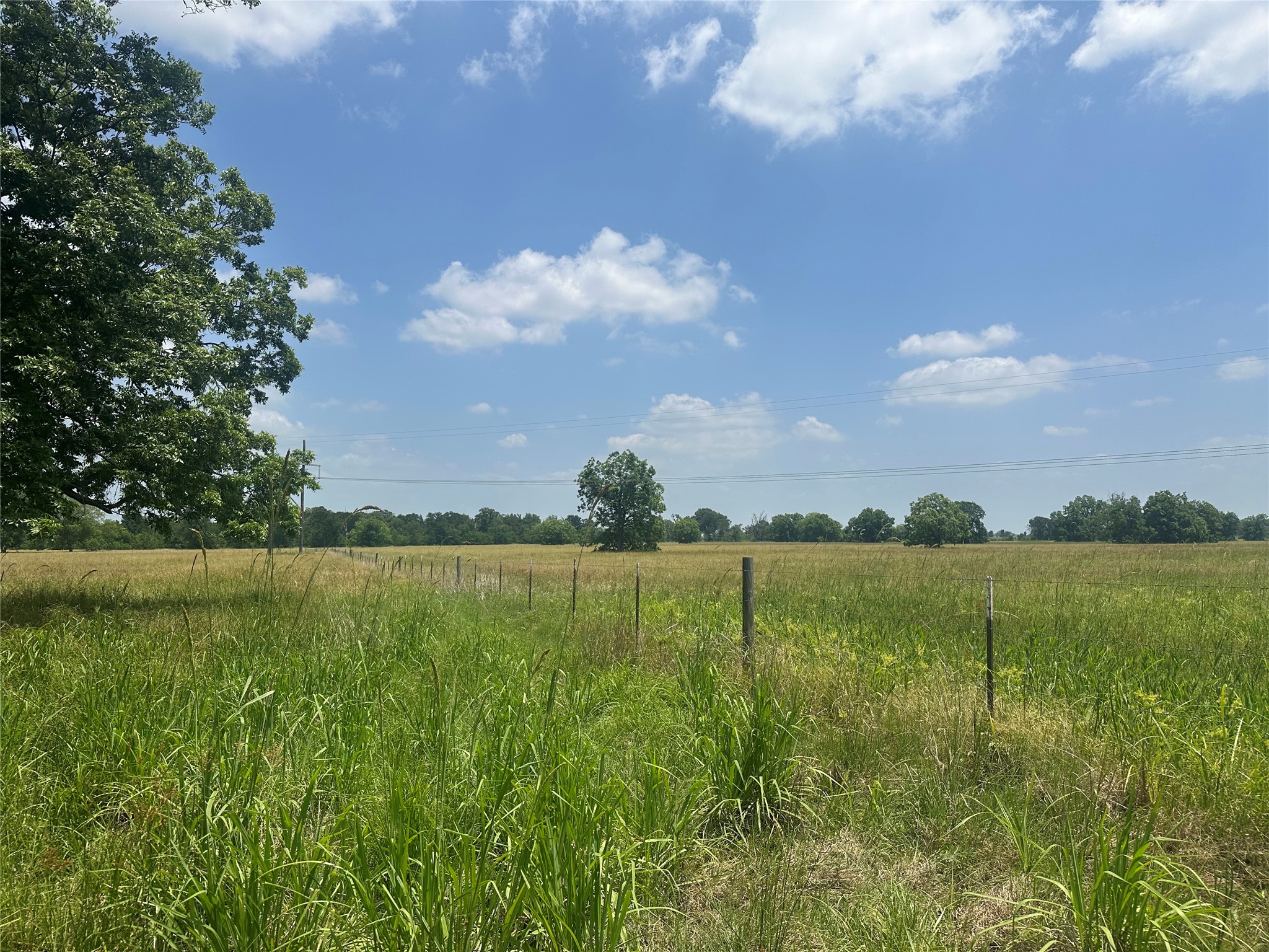 123ac Cr 234 Property Photo 18