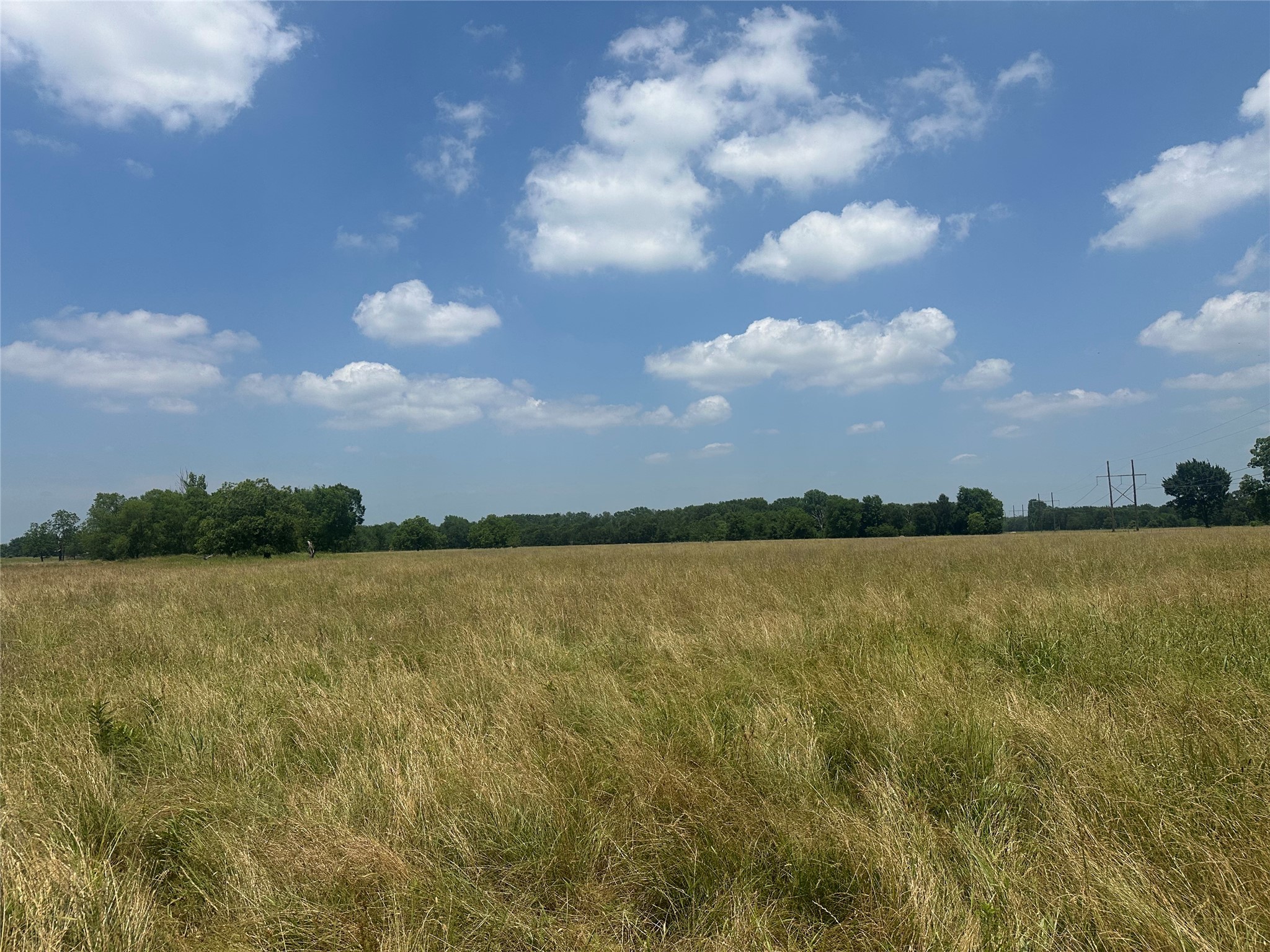 123ac Cr 234 Property Photo 19