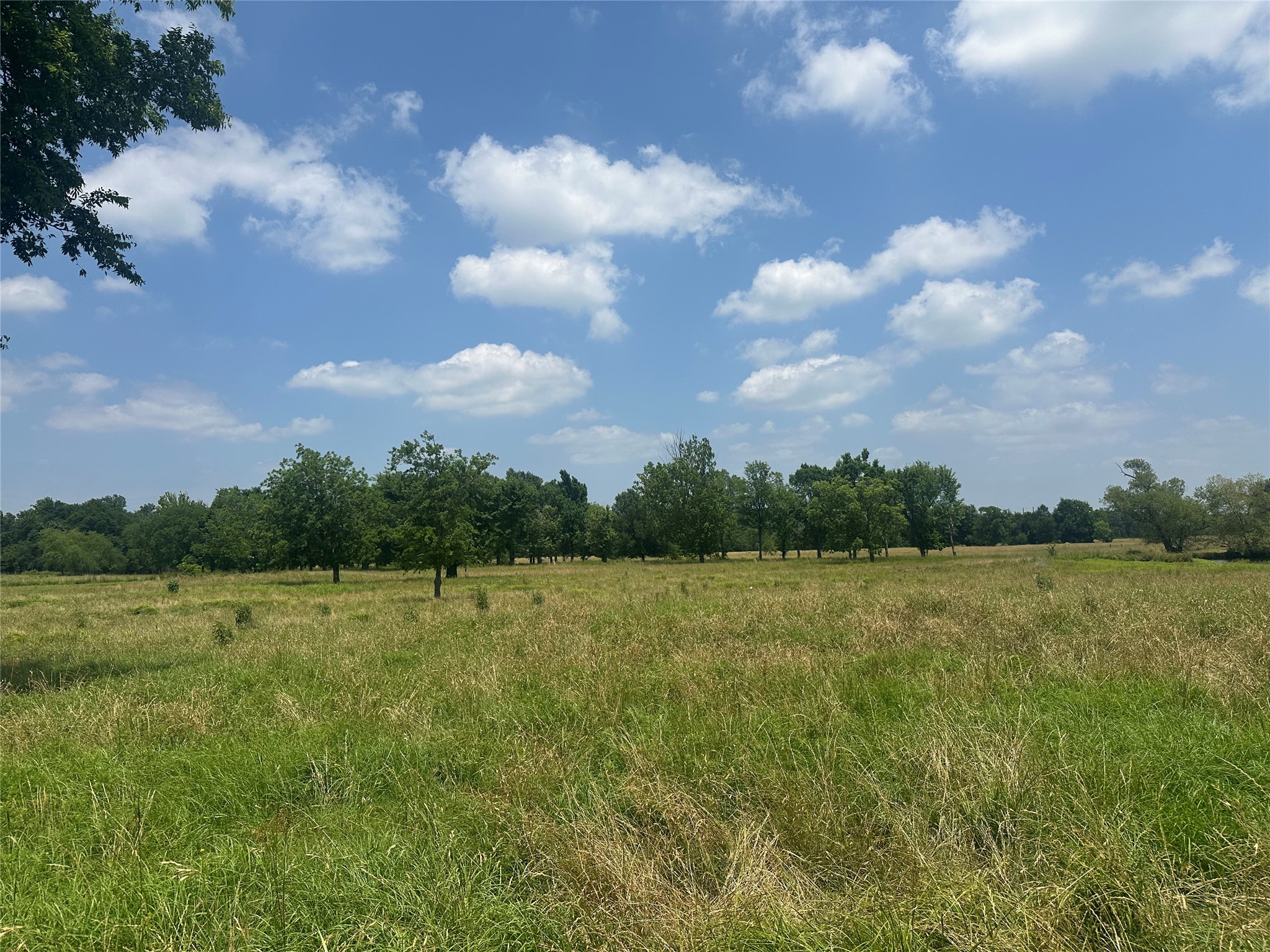 123ac Cr 234 Property Photo 20